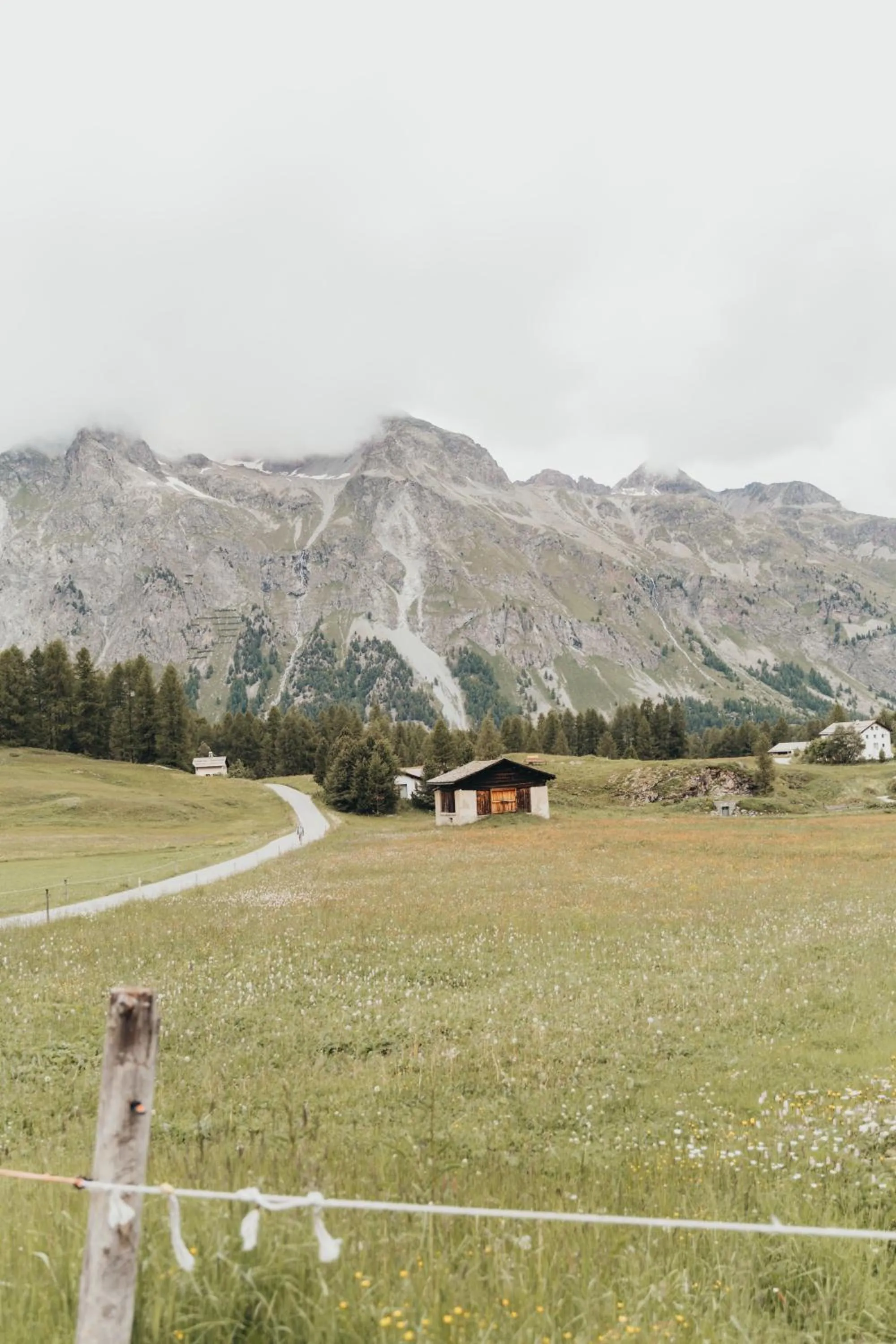 Natural landscape in Hotel Bernina 1865 by Kleos Group Collection