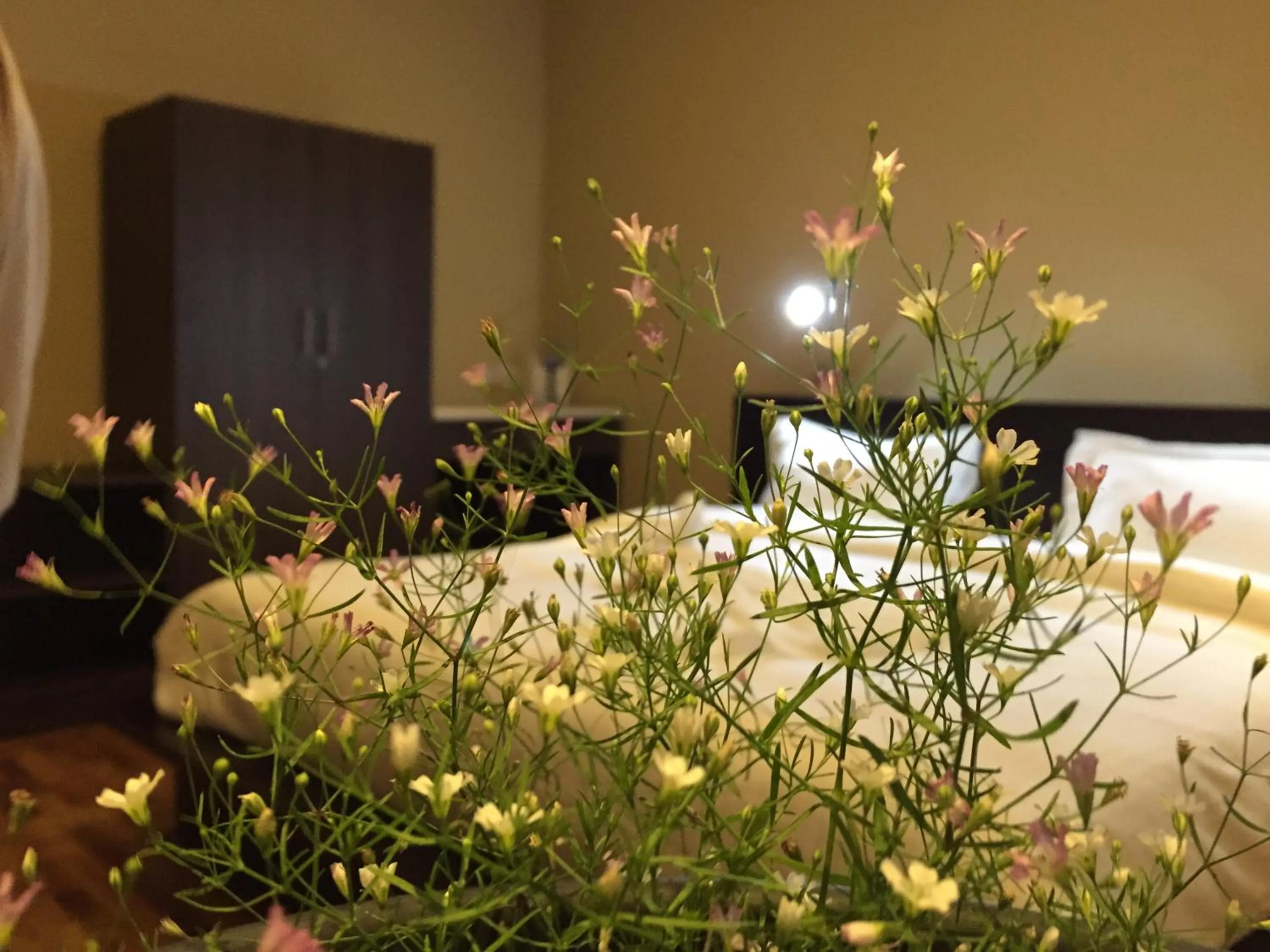 Photo of the whole room, Bed in Panorama Green View Hotel Nuwara Eliya