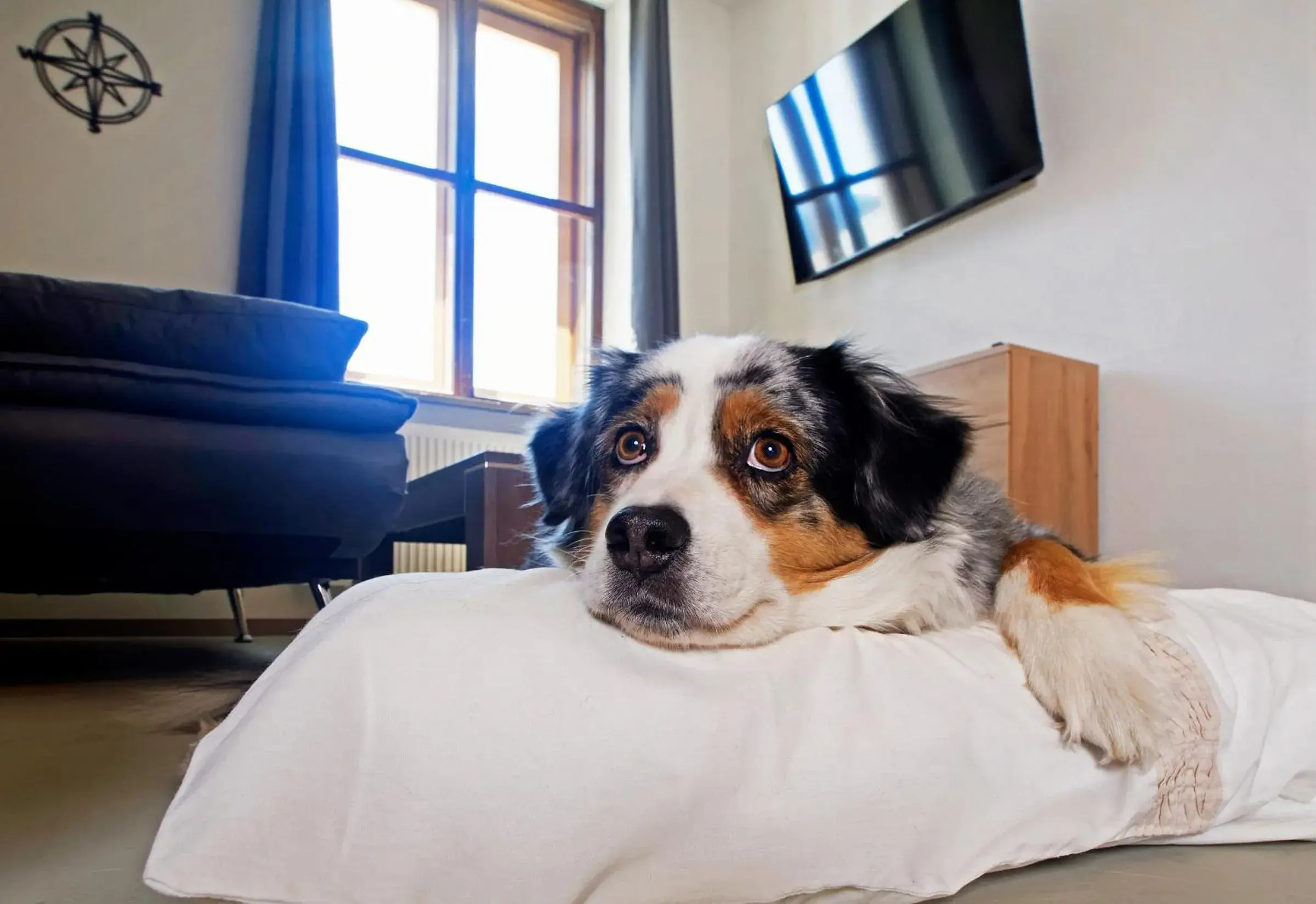 Apartment - single occupancy in Hotel Bayerisch Meran Apartment - single occupancy in Hotel Bayerisch Meran