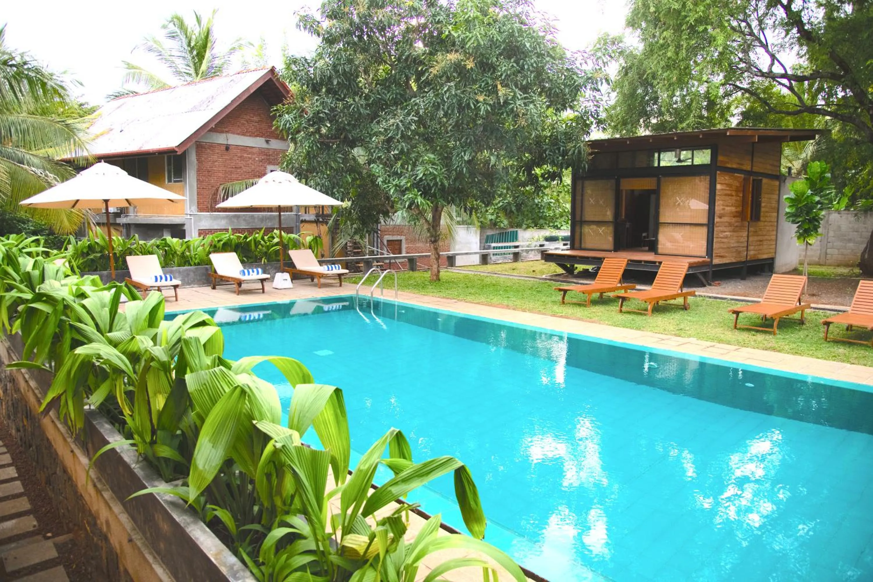 Pool view in Eliyanth Udawalawe