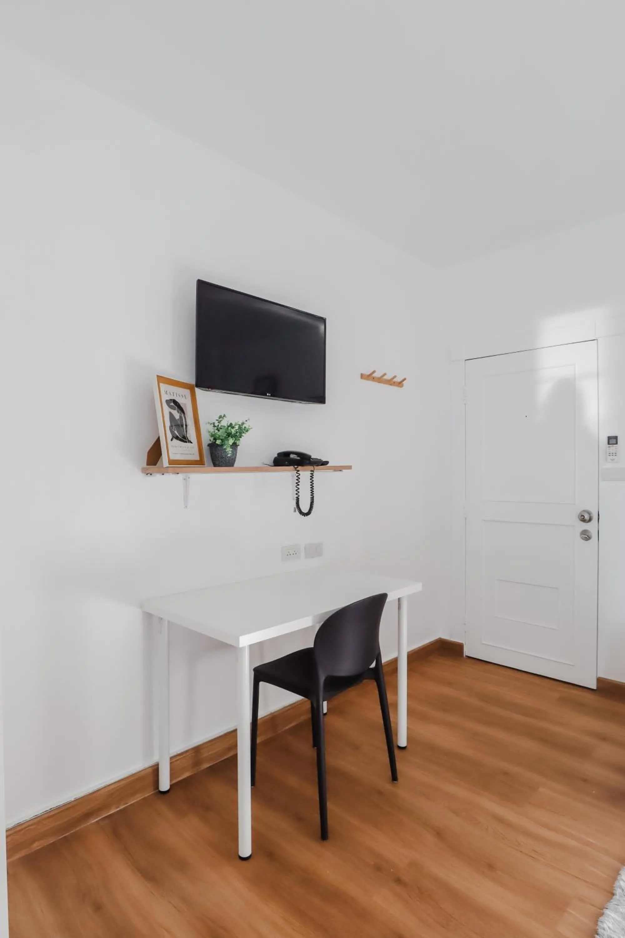 TV and multimedia in Link Mansion