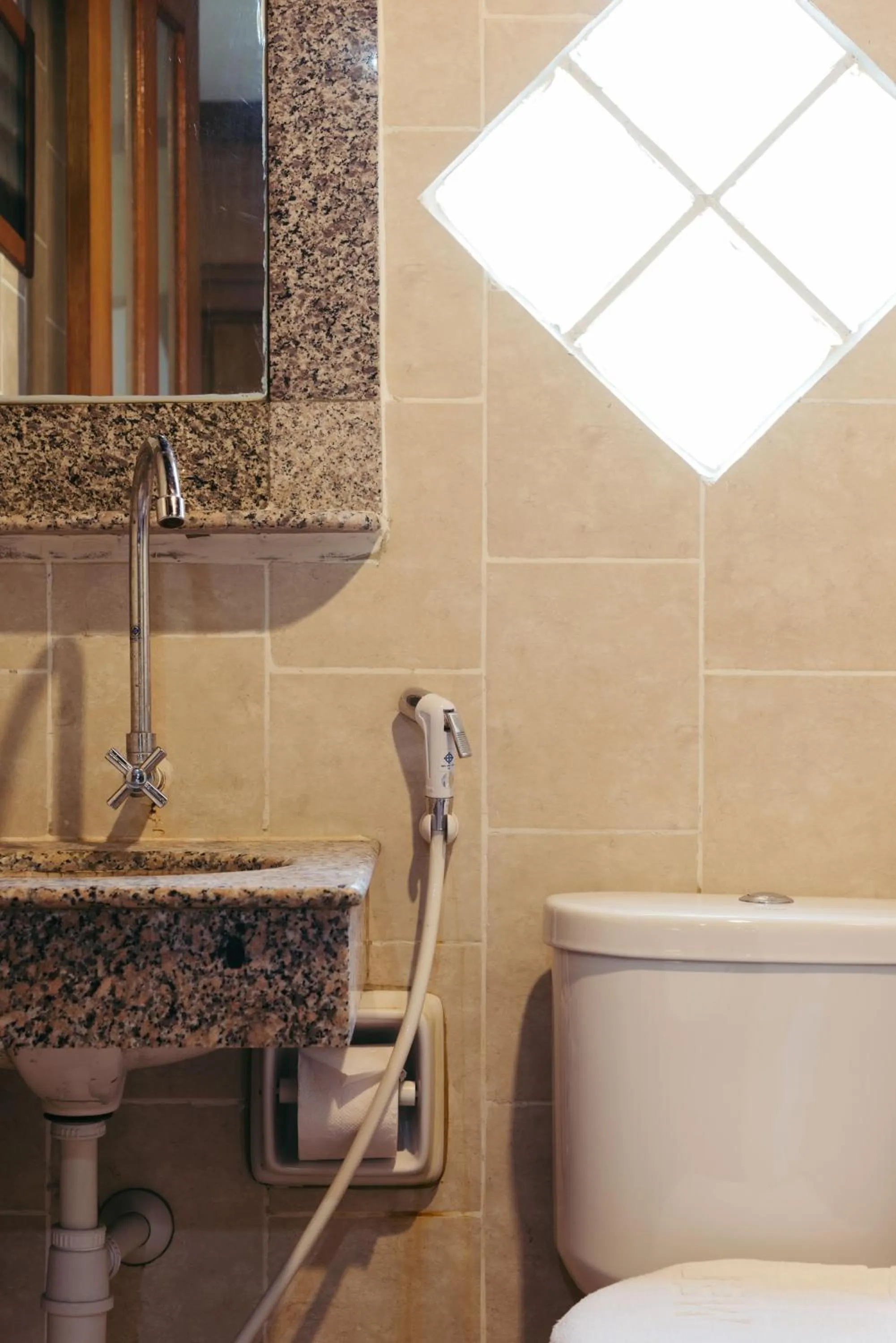 Toilet in Link Mansion