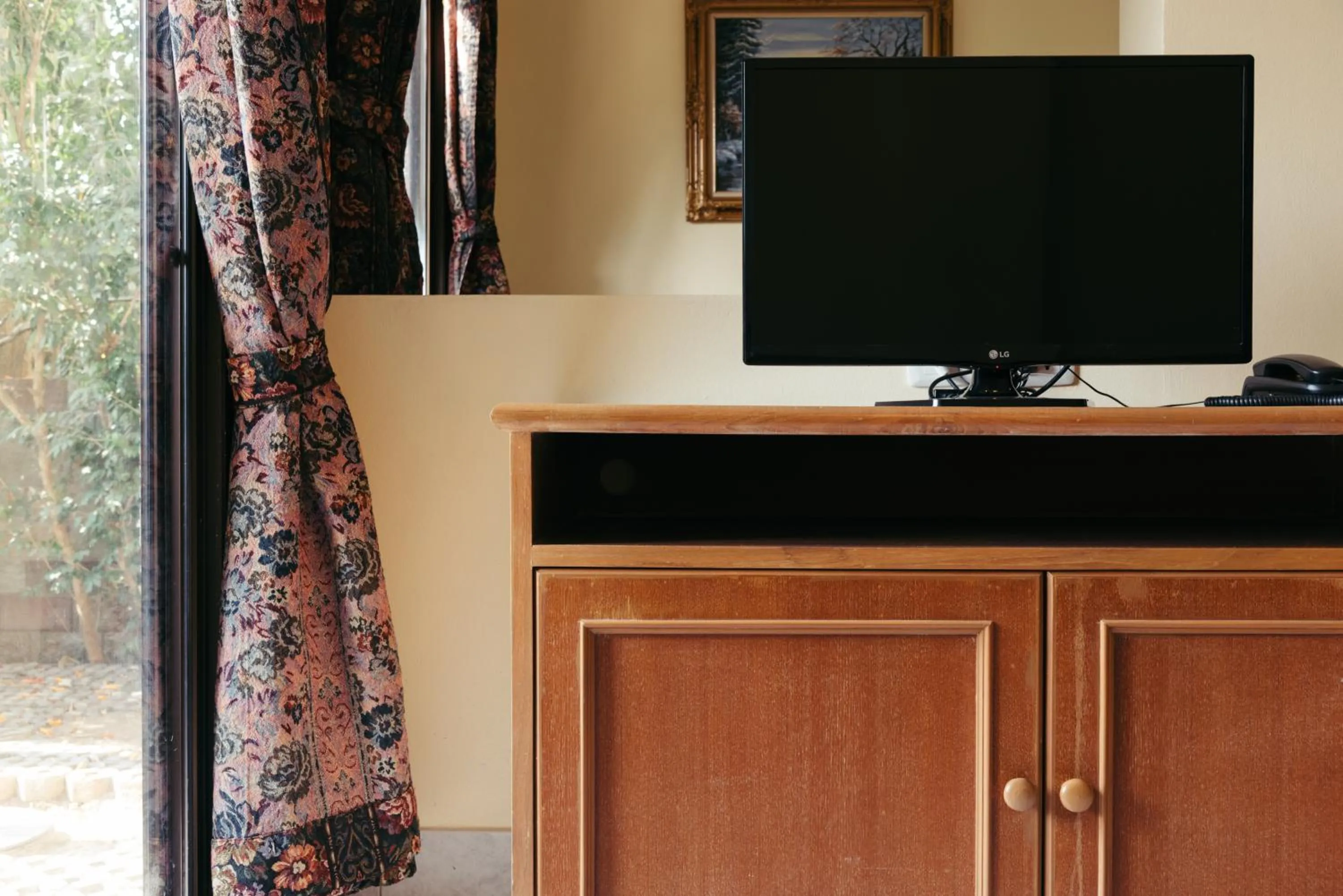 TV and multimedia in Link Mansion