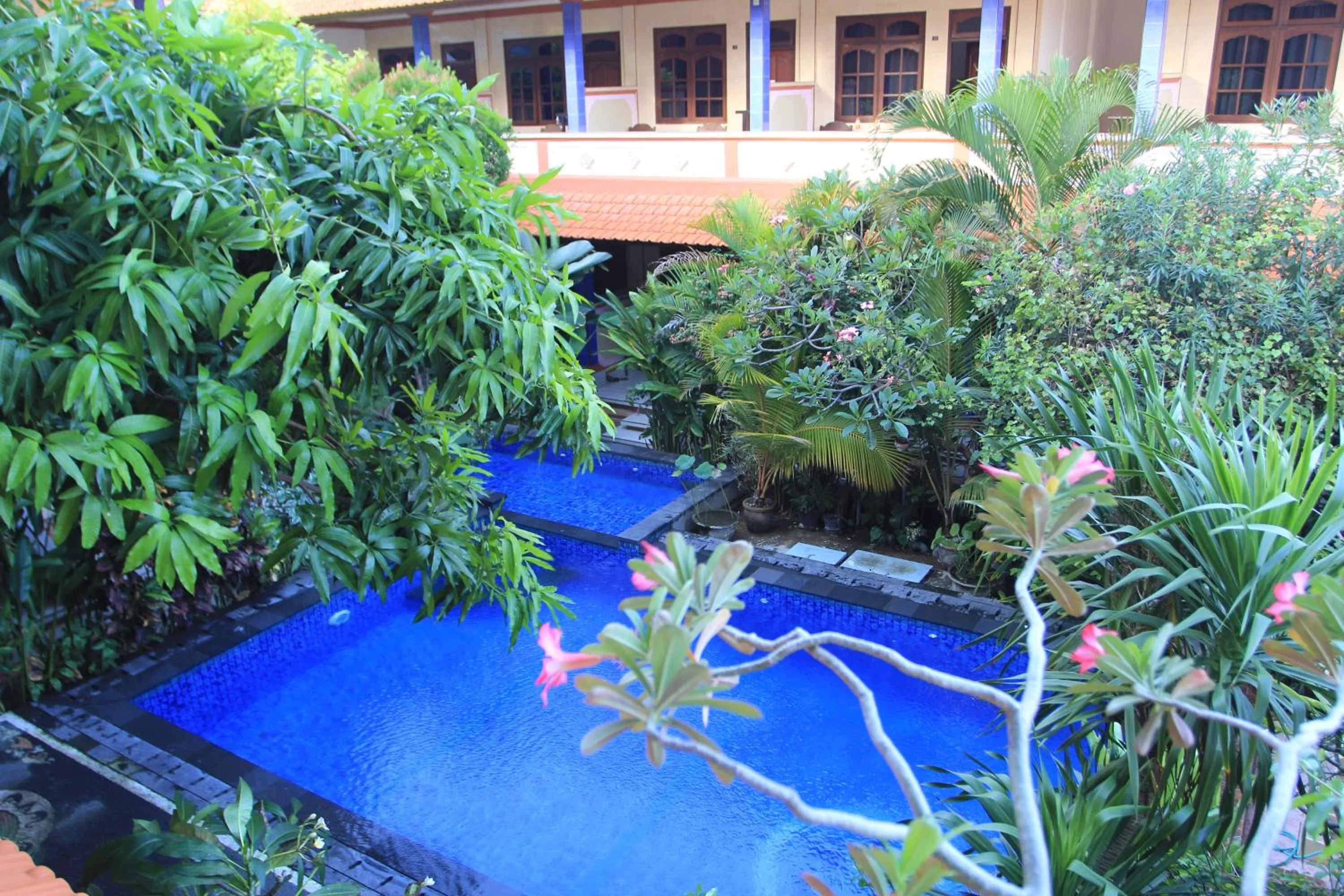 Swimming pool in Losmen Cempaka 3