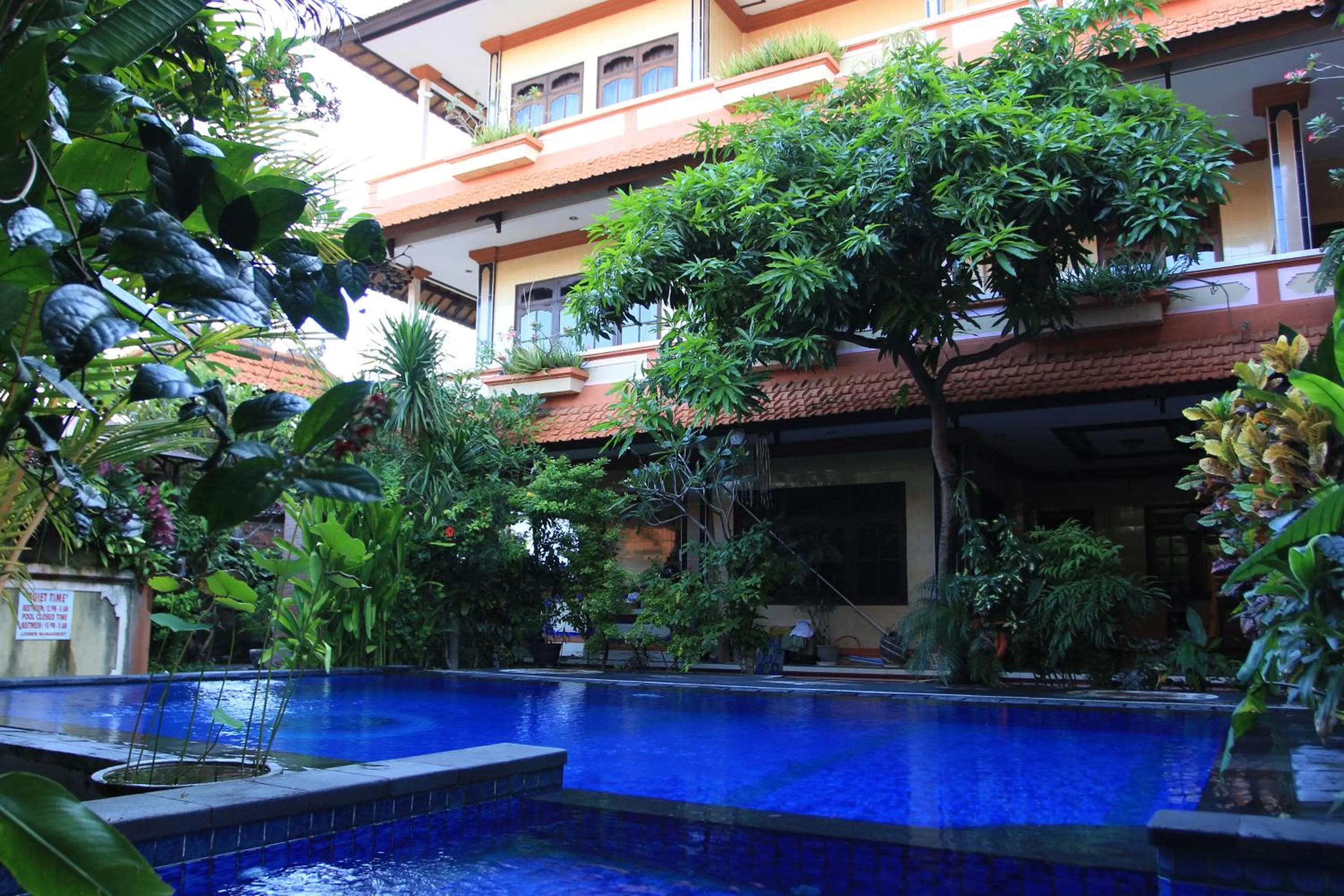 Swimming pool in Losmen Cempaka 3