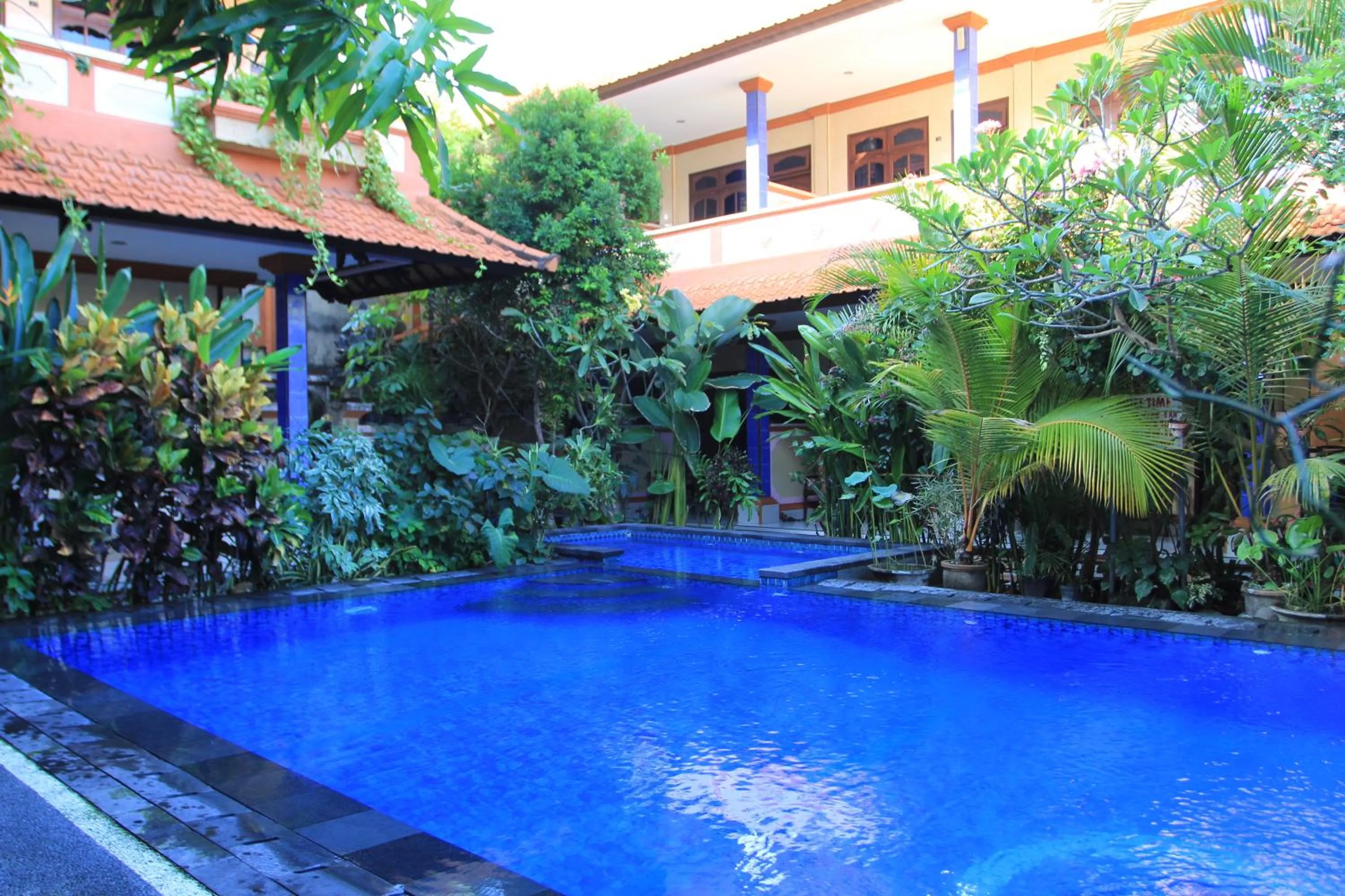 Swimming pool in Losmen Cempaka 3