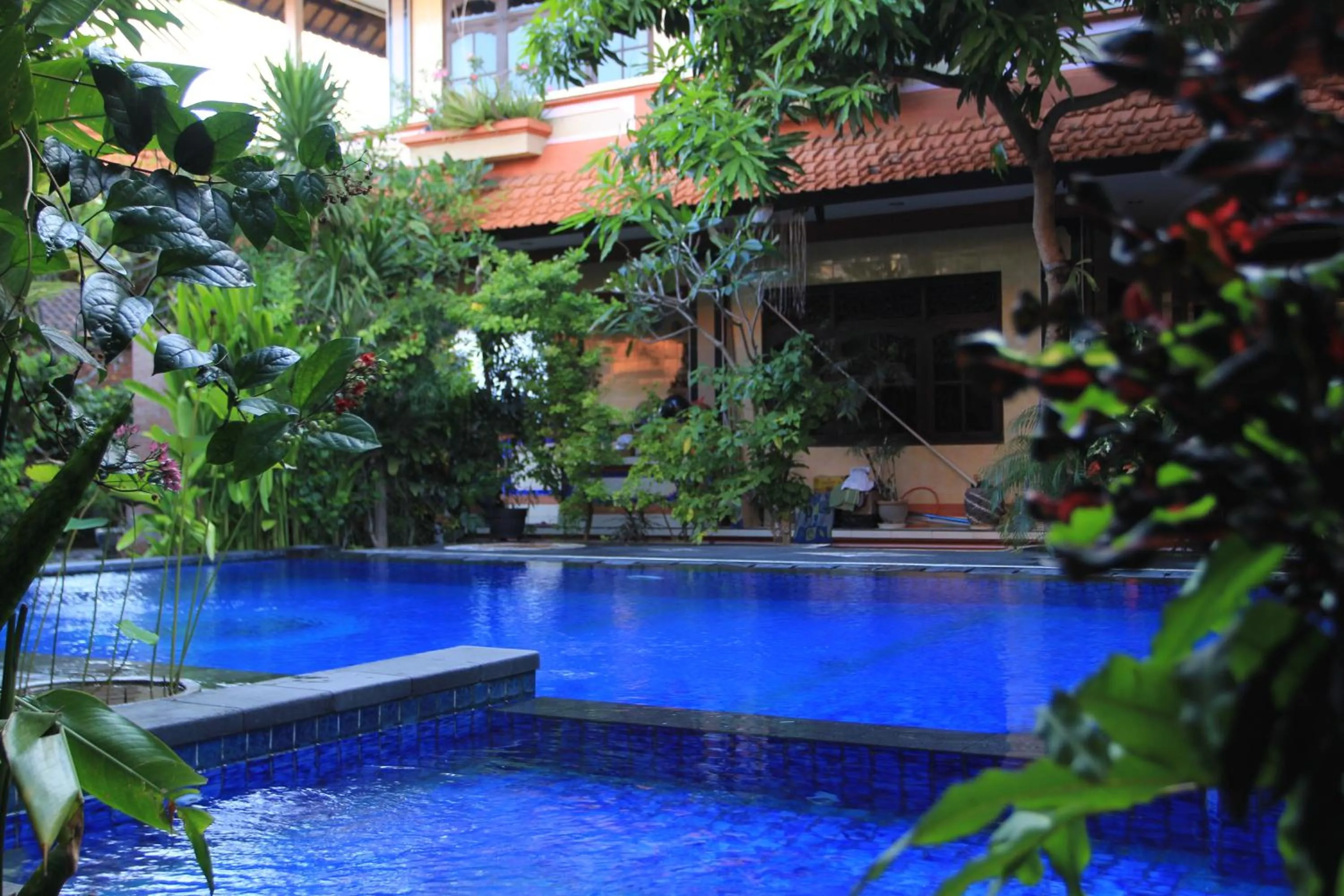 Swimming pool in Losmen Cempaka 3