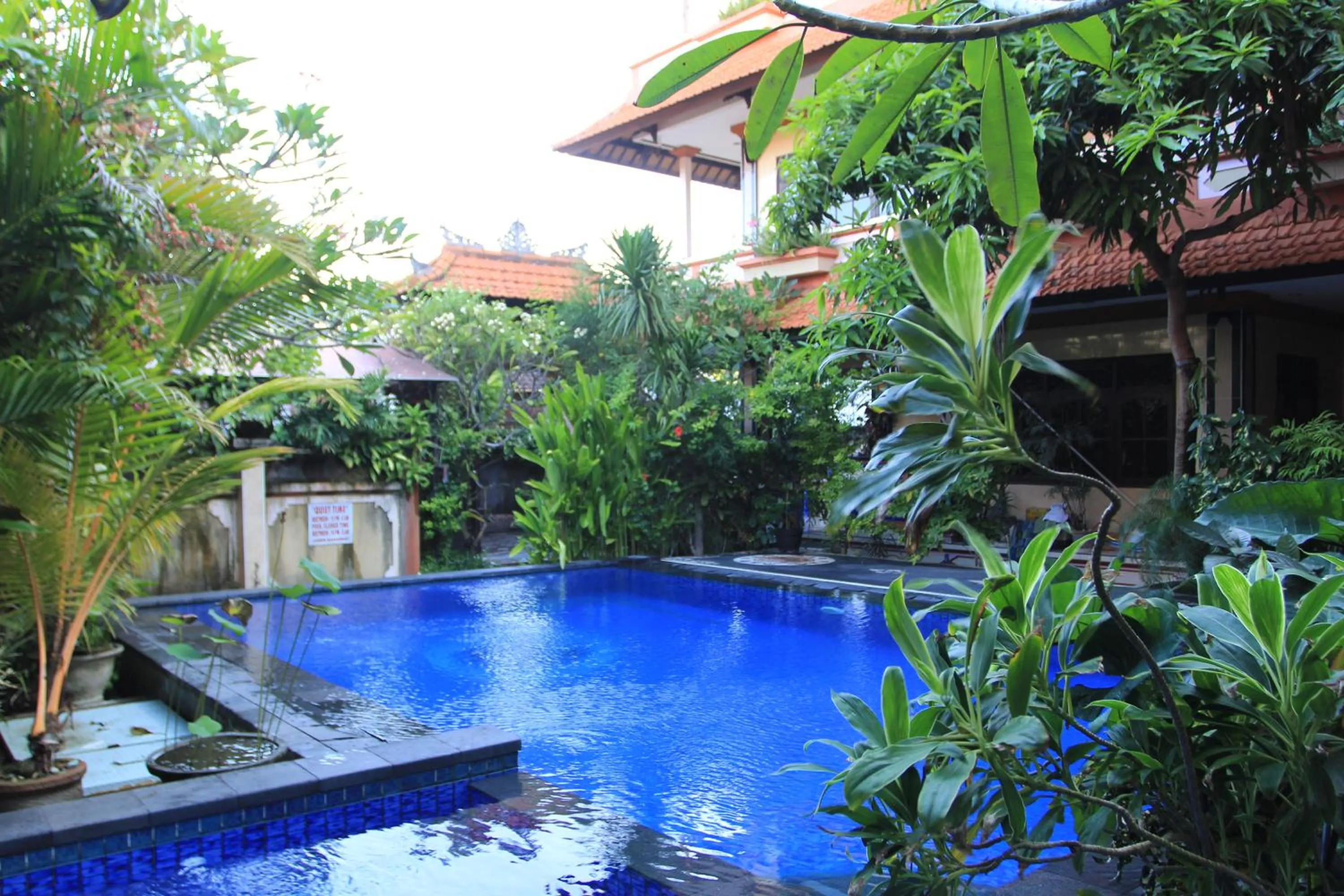 Swimming pool in Losmen Cempaka 3