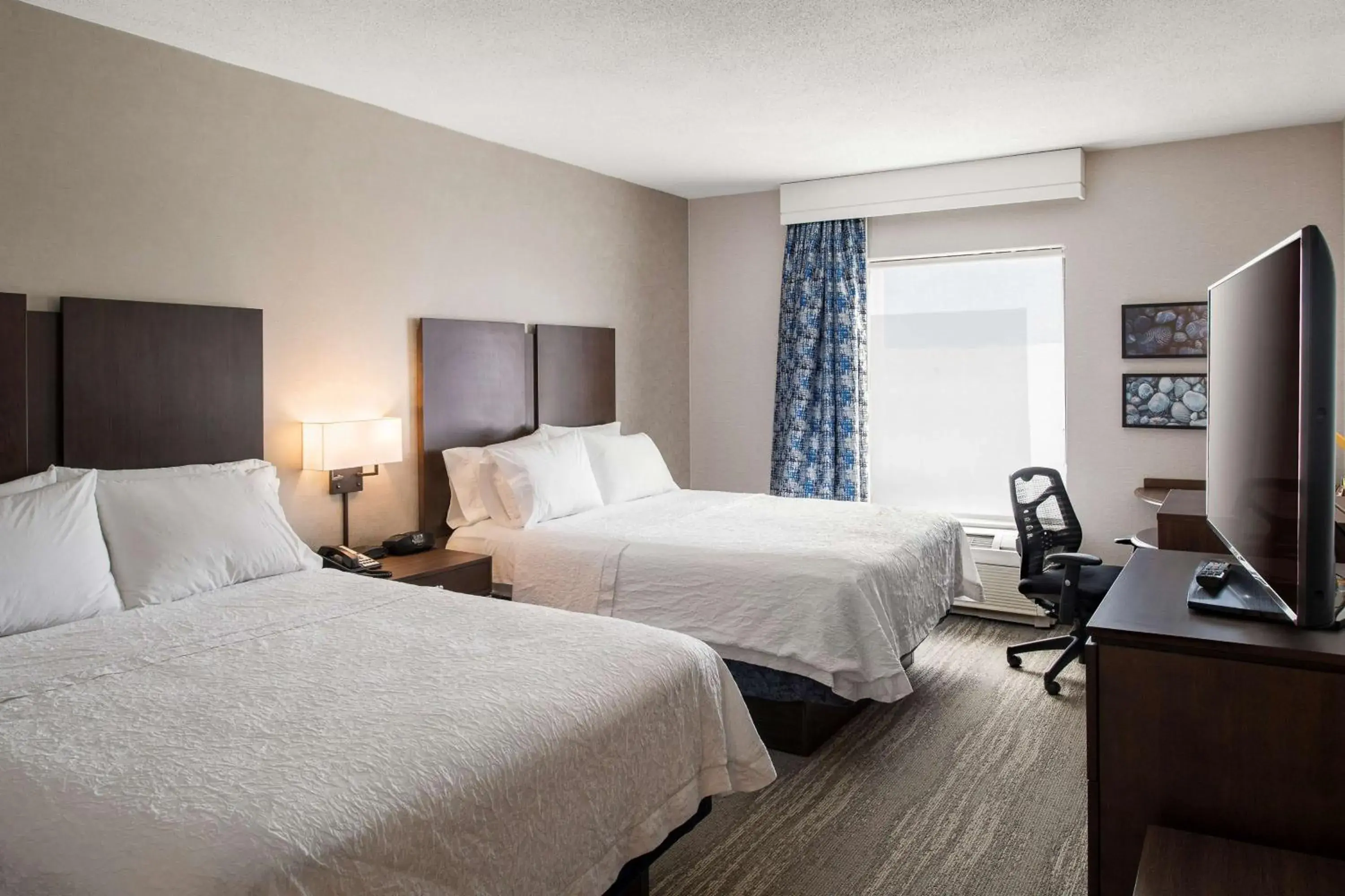 Room with Two Queen Beds - Non-Smoking in Hampton Inn & Suites by Hilton Dartmouth - Halifax Room with Two Queen Beds - Non-Smoking in Hampton Inn & Suites by Hilton Dartmouth - Halifax