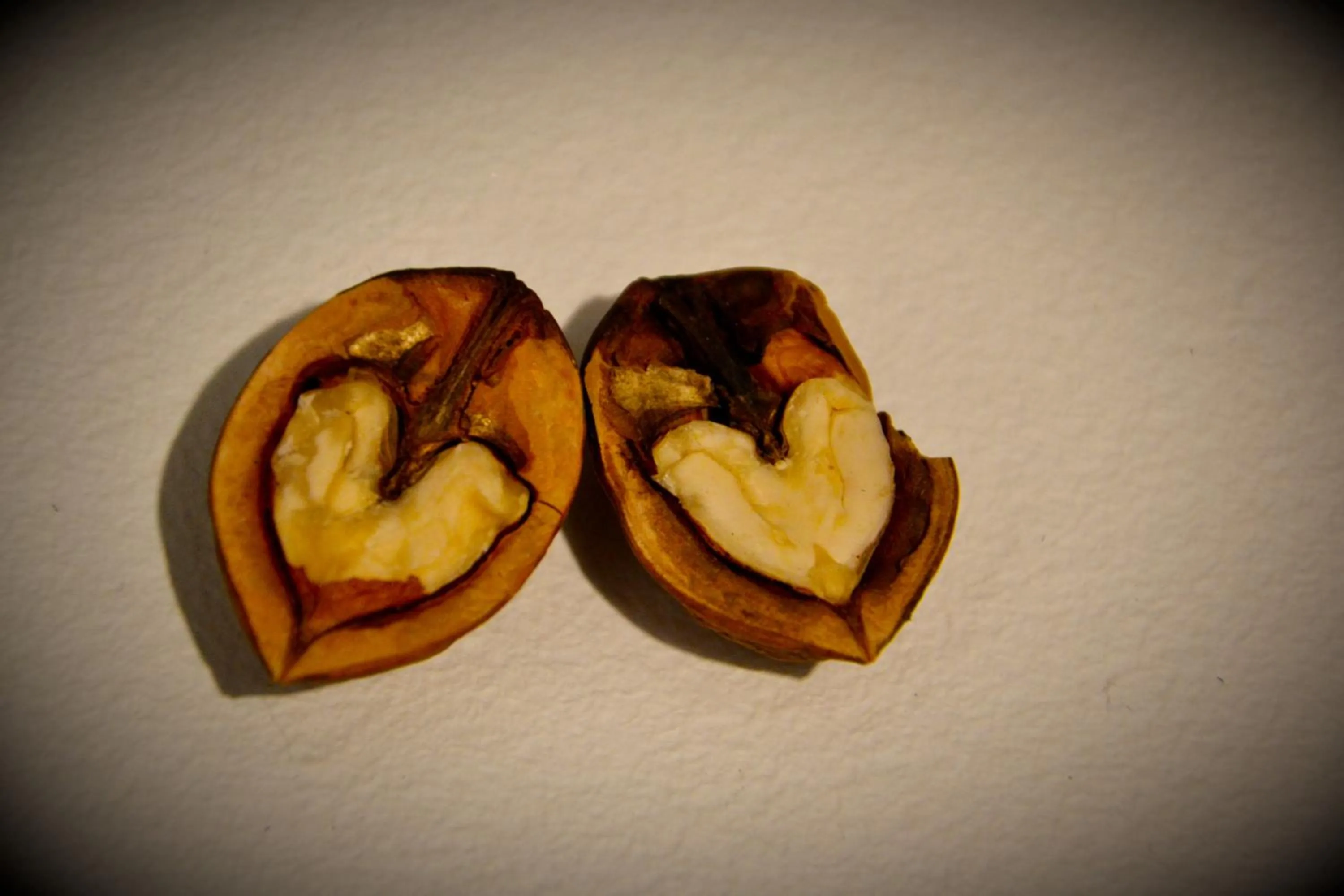 Decorative detail in Casa Gioia