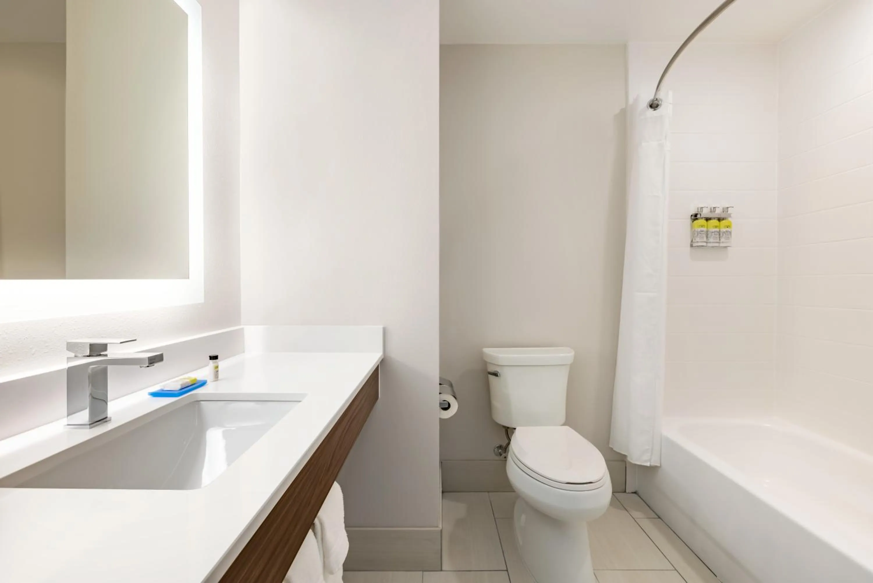 Shower in Holiday Inn Express Hotel & Suites Opelika Auburn by IHG