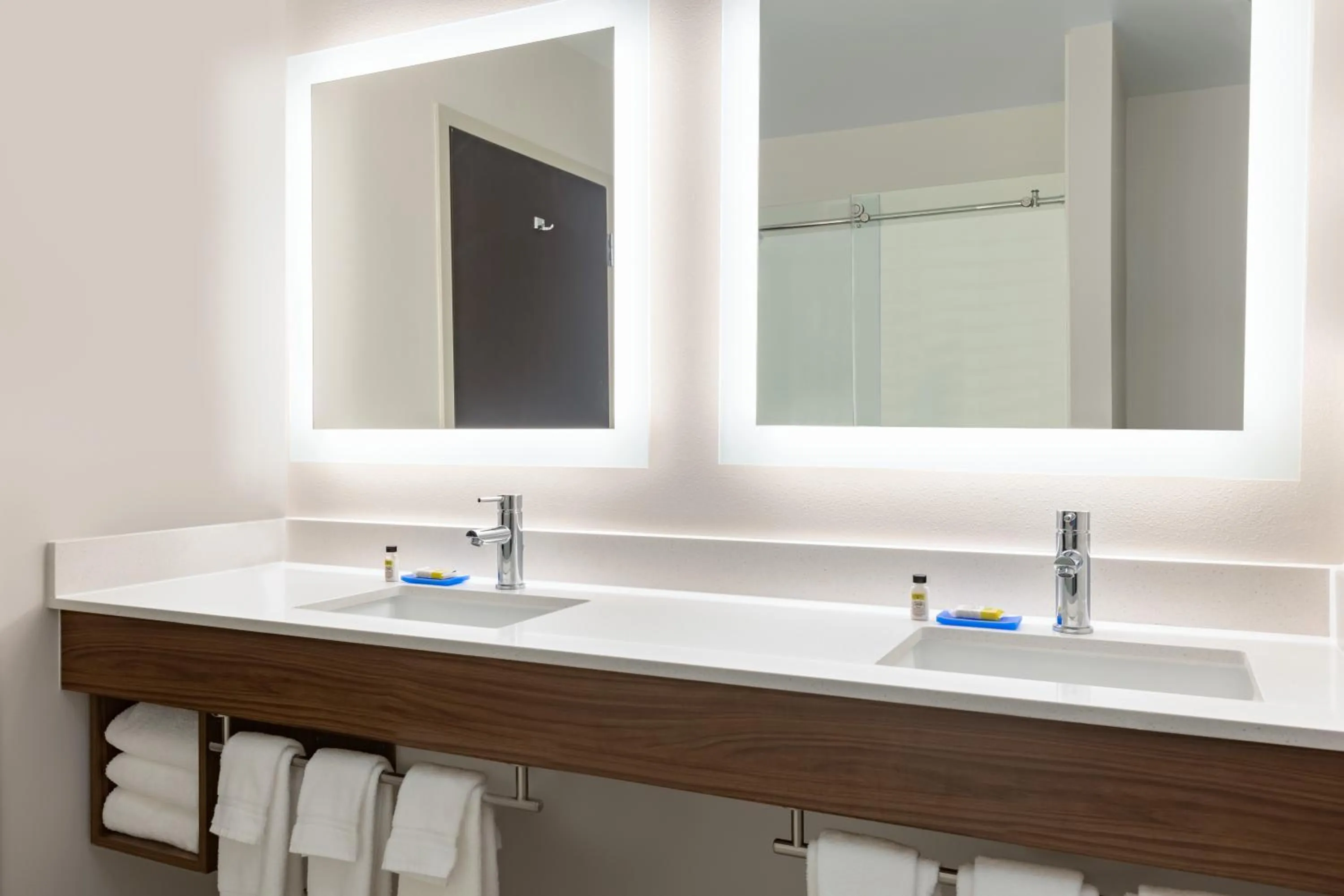 Shower in Holiday Inn Express Hotel & Suites Opelika Auburn by IHG