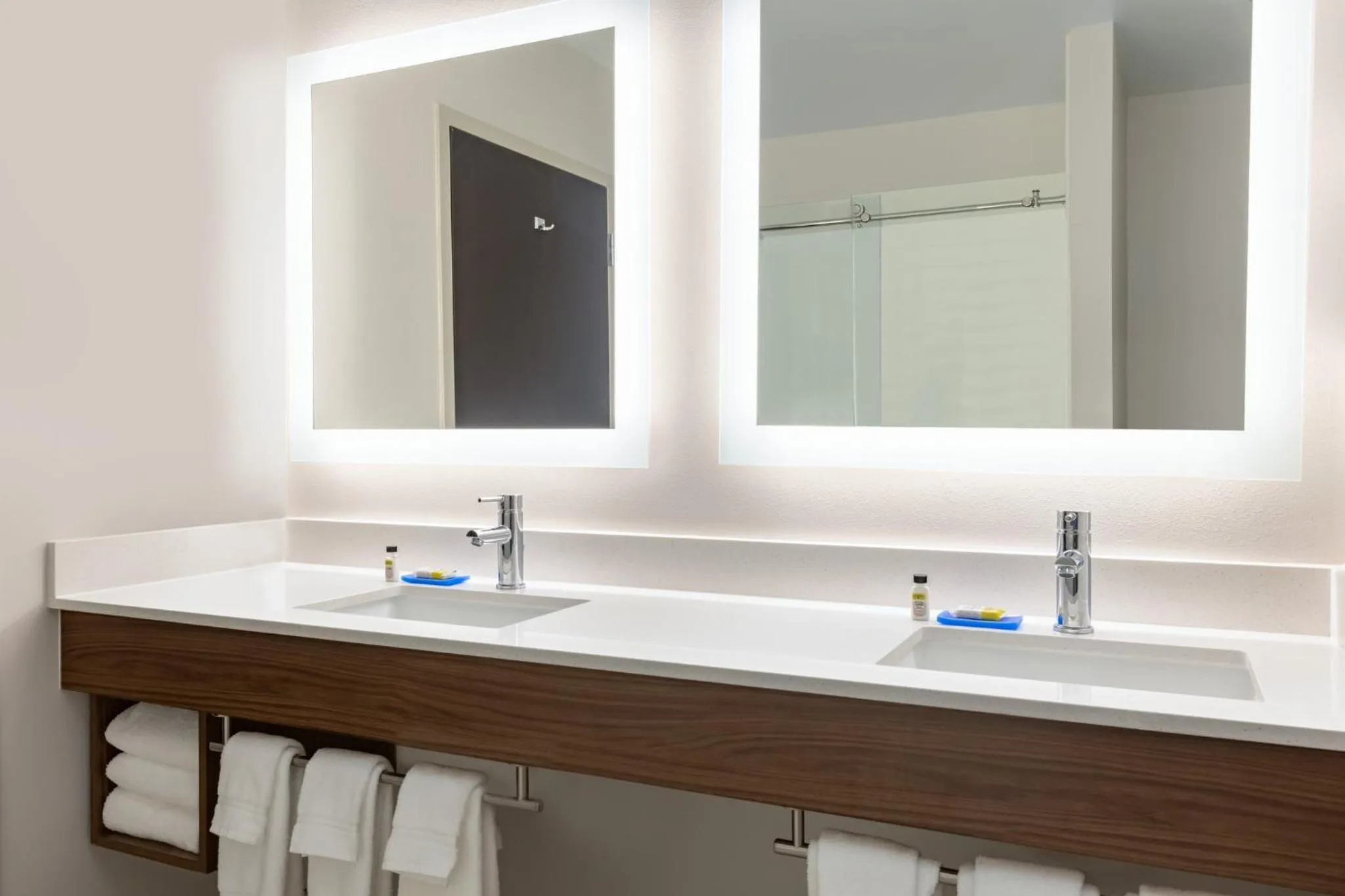 Bathroom in Holiday Inn Express Hotel & Suites Opelika Auburn by IHG