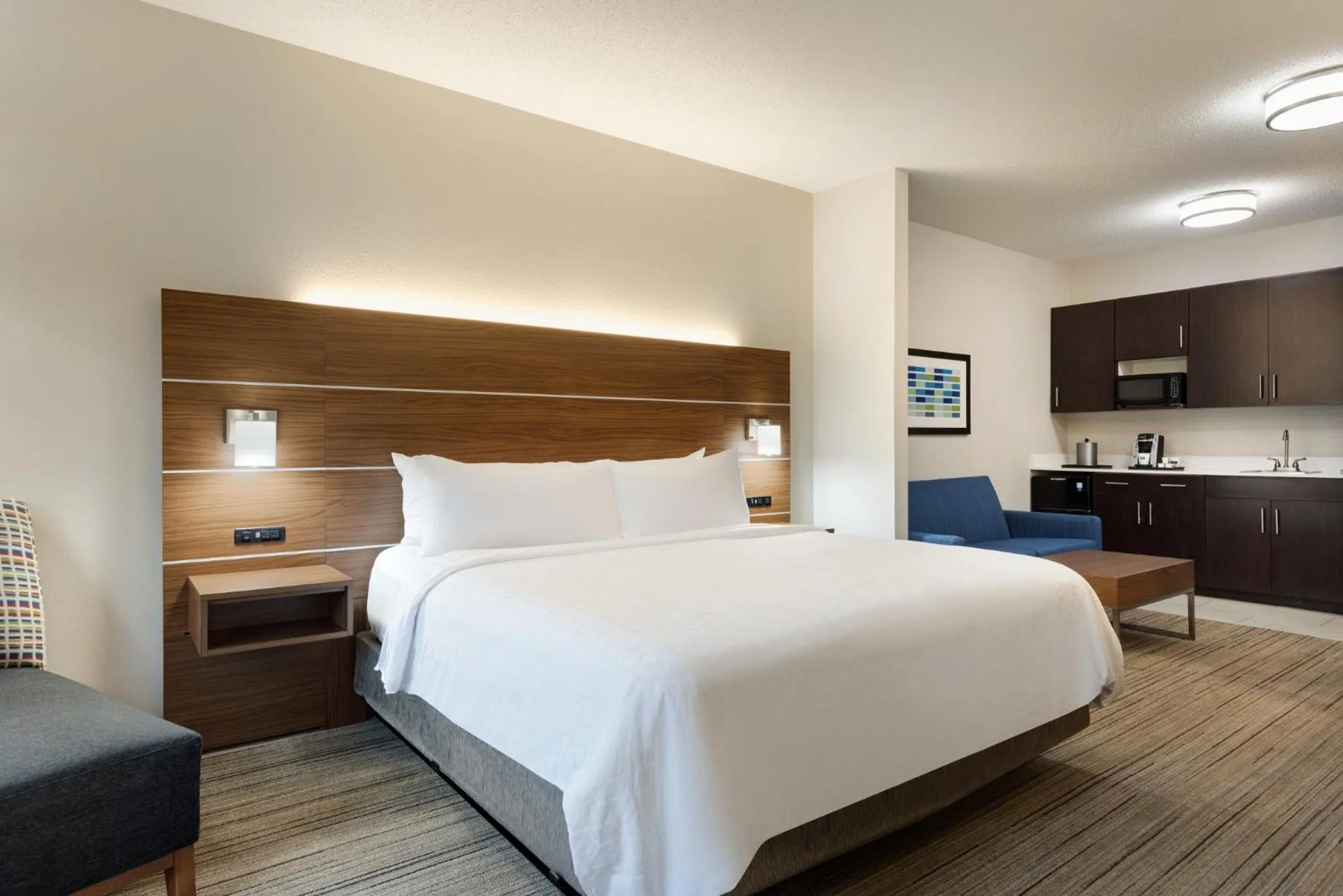 Photo of the whole room, Bed in Holiday Inn Express Hotel & Suites Opelika Auburn by IHG