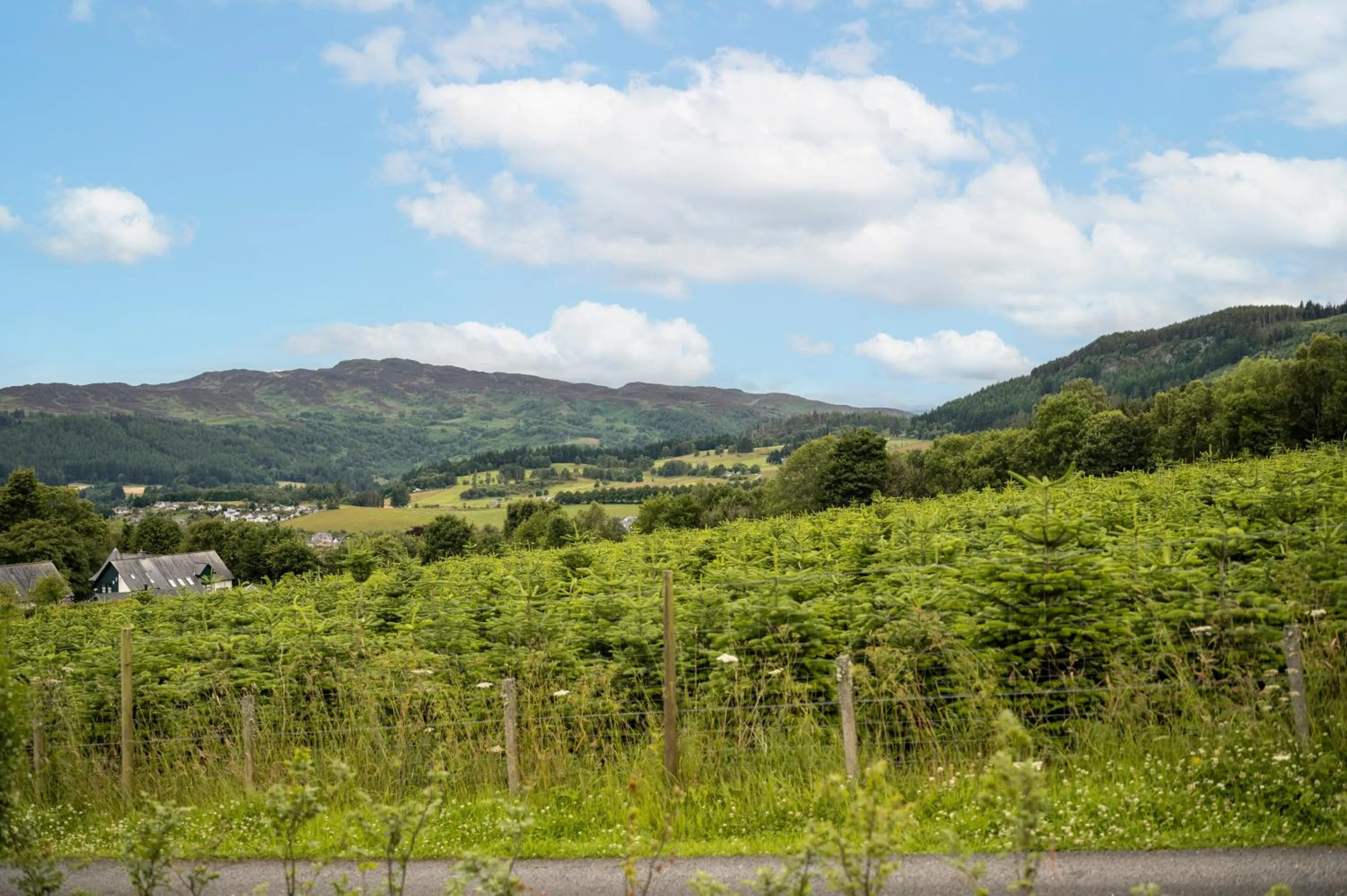 Kinnaird Woodland Lodges