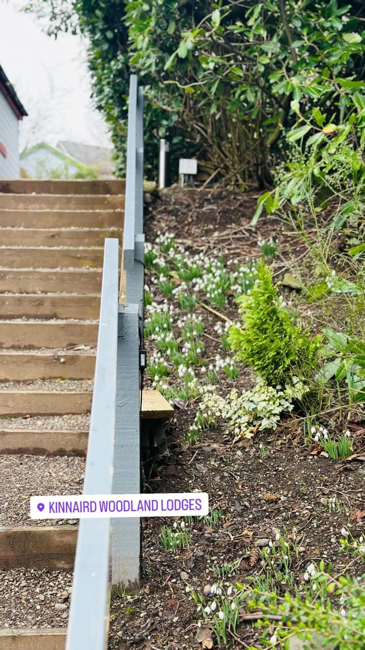 Kinnaird Woodland Lodges