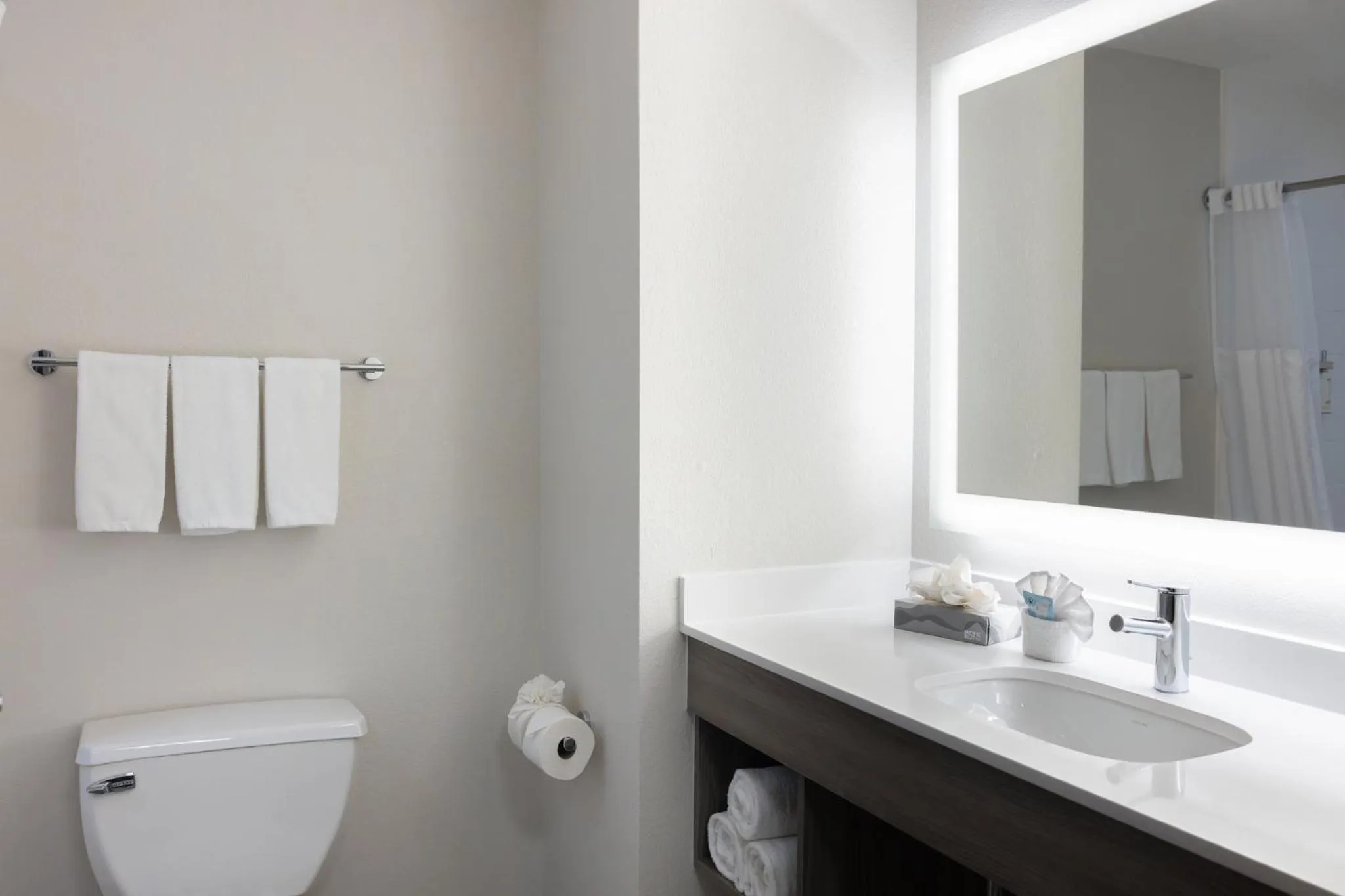 Bathroom in Holiday Inn Express Hotel & Suites Wichita Airport by IHG