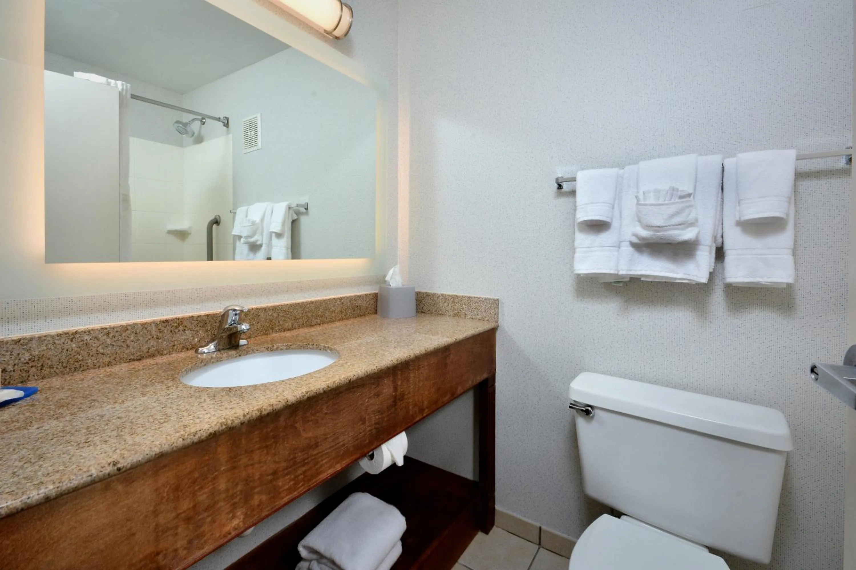 Bathroom in Holiday Inn Express Lynchburg by IHG