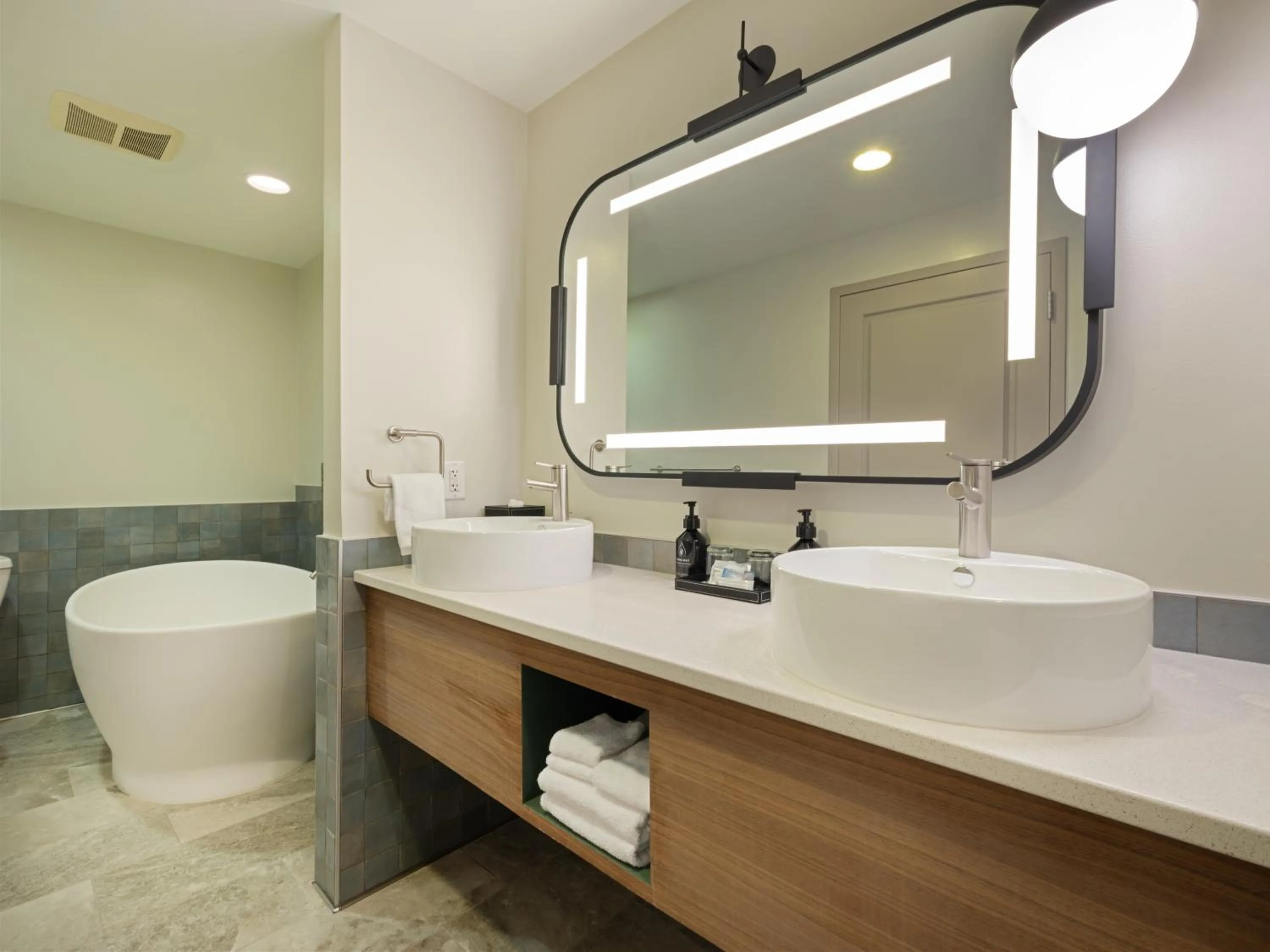 Bathroom in Hotel Indigo Asheville Downtown by IHG