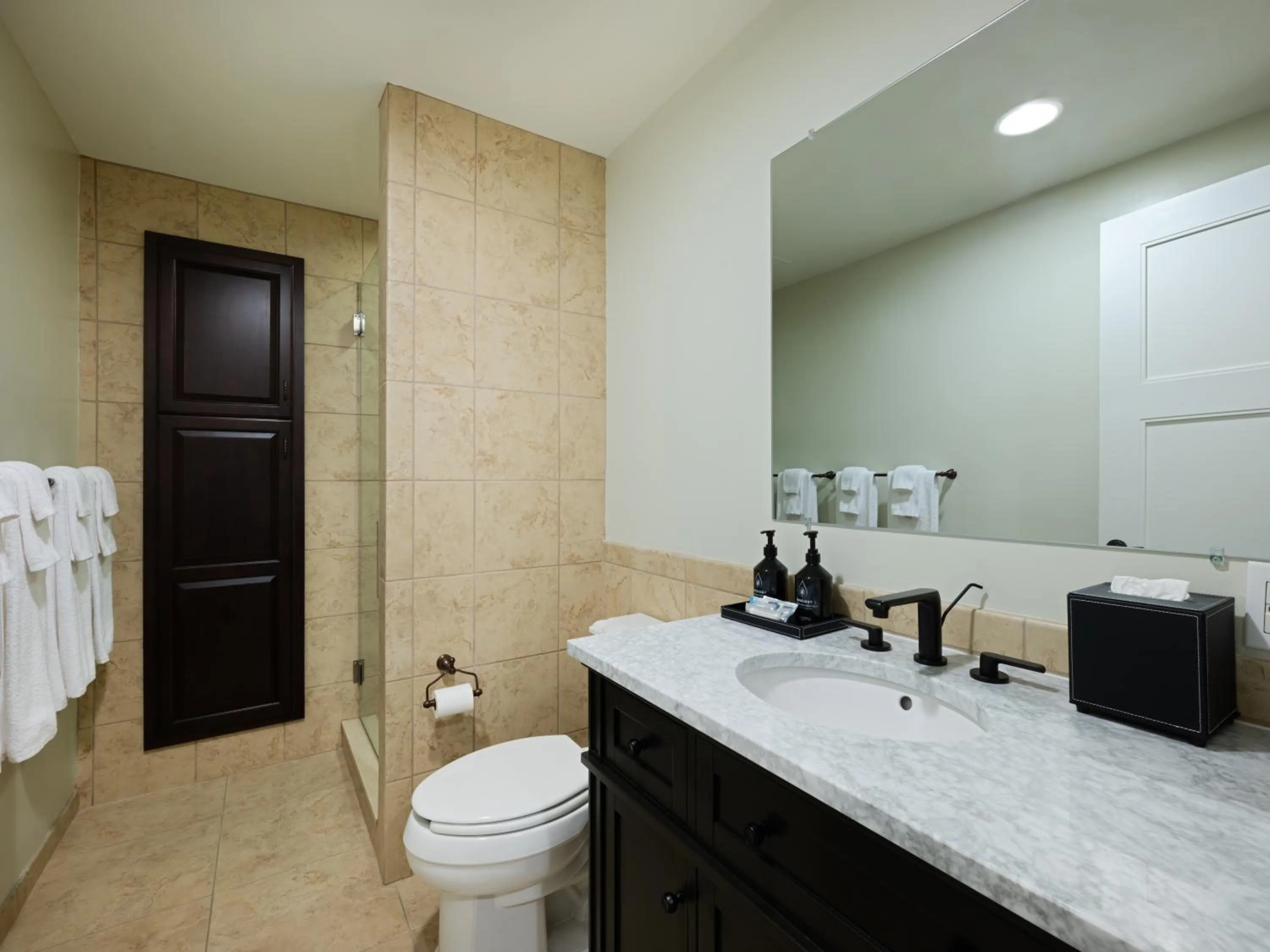 Bathroom in Hotel Indigo Asheville Downtown by IHG