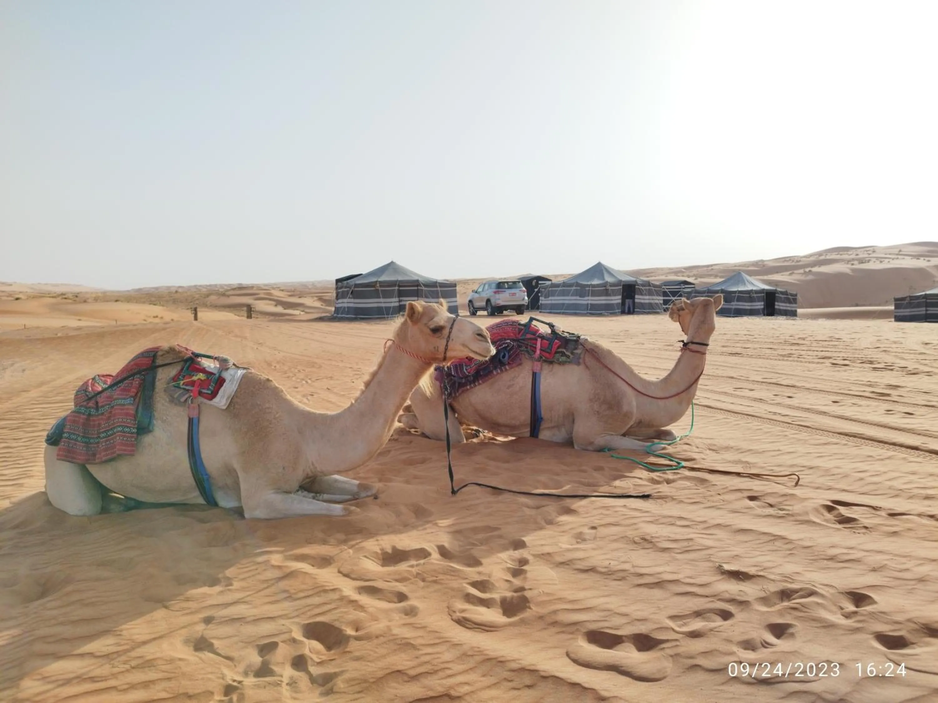 Day in Sands Dream Tourism Camp