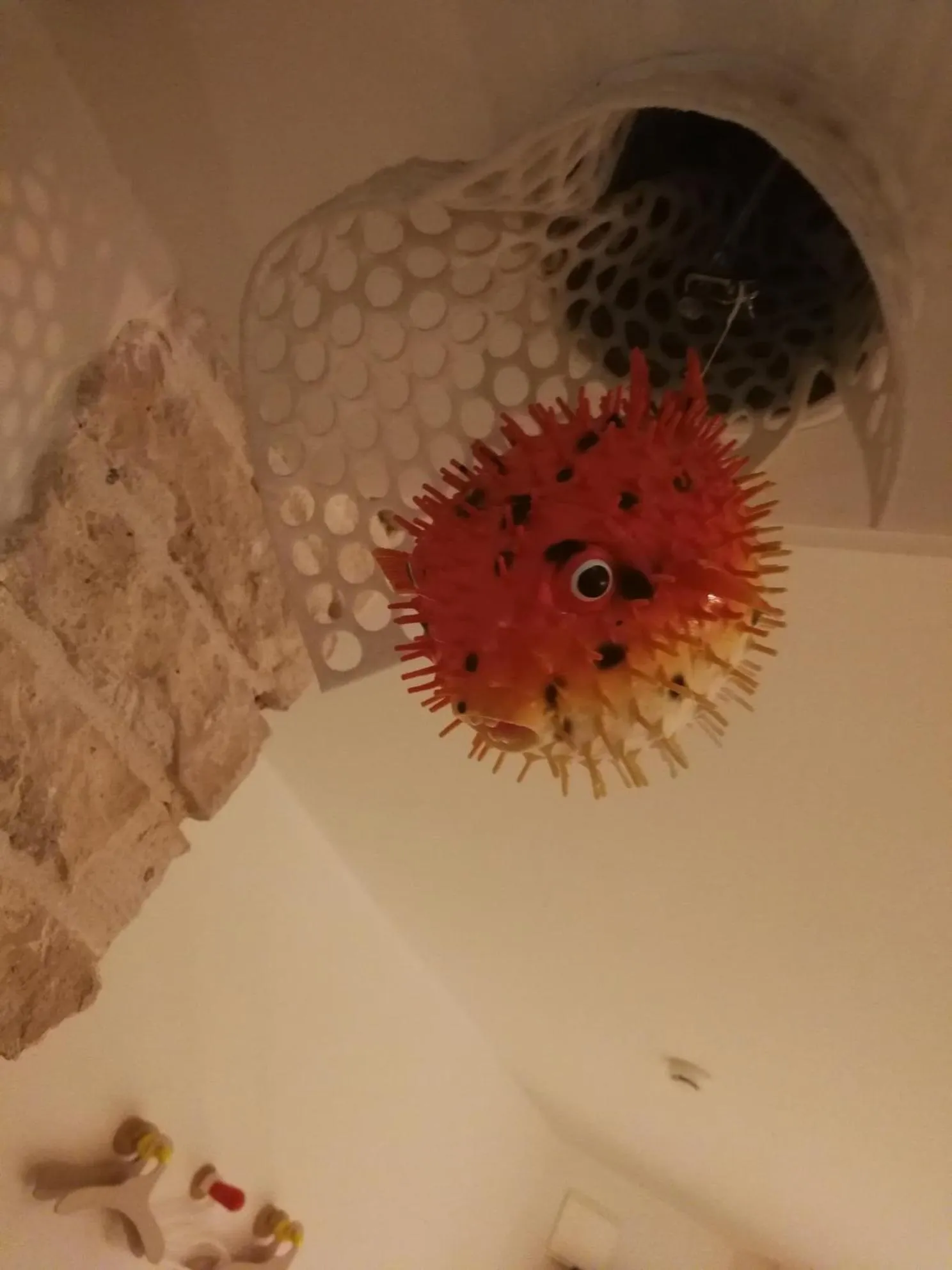 Hôtel de la Pinède