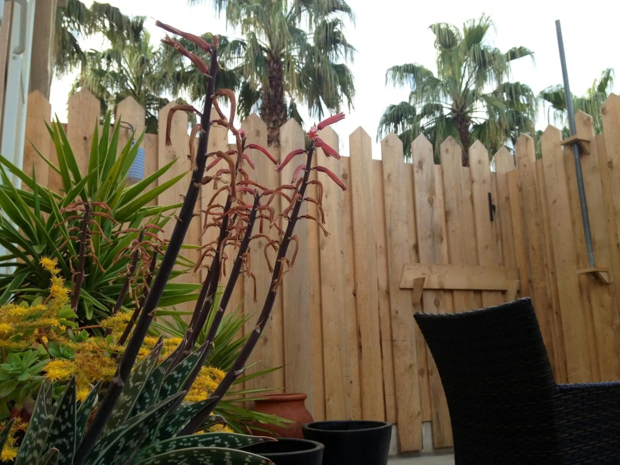 Patio in Hôtel de la Pinède