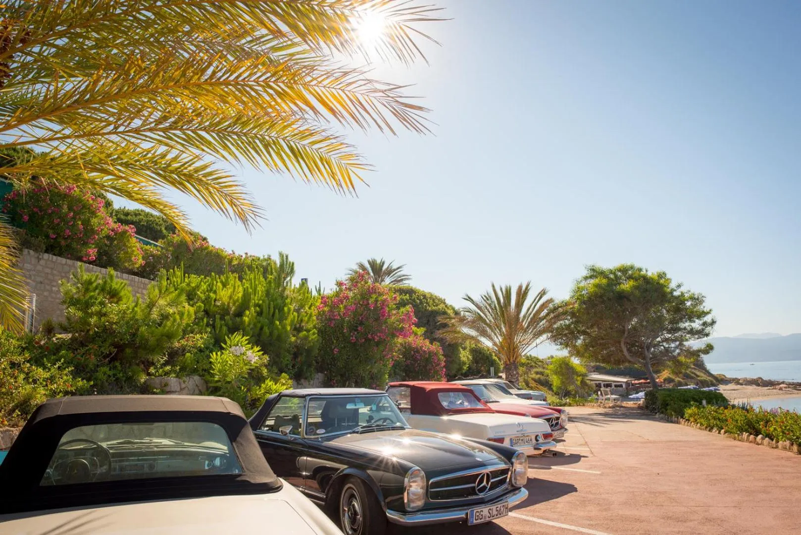 Area and facilities in Hôtel Cala di Sole