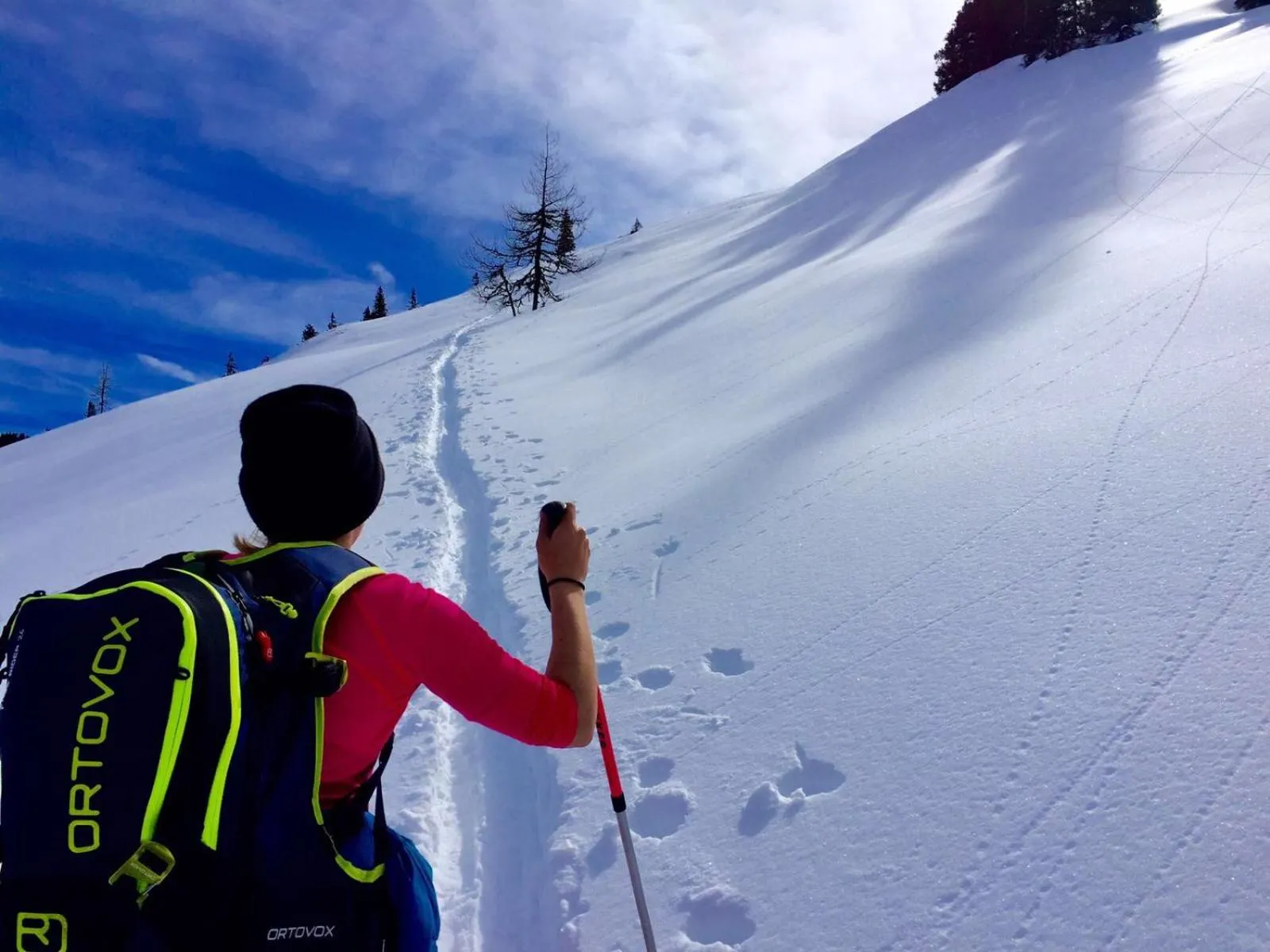 Winter in Hotel Gasthof Schweizerhaus