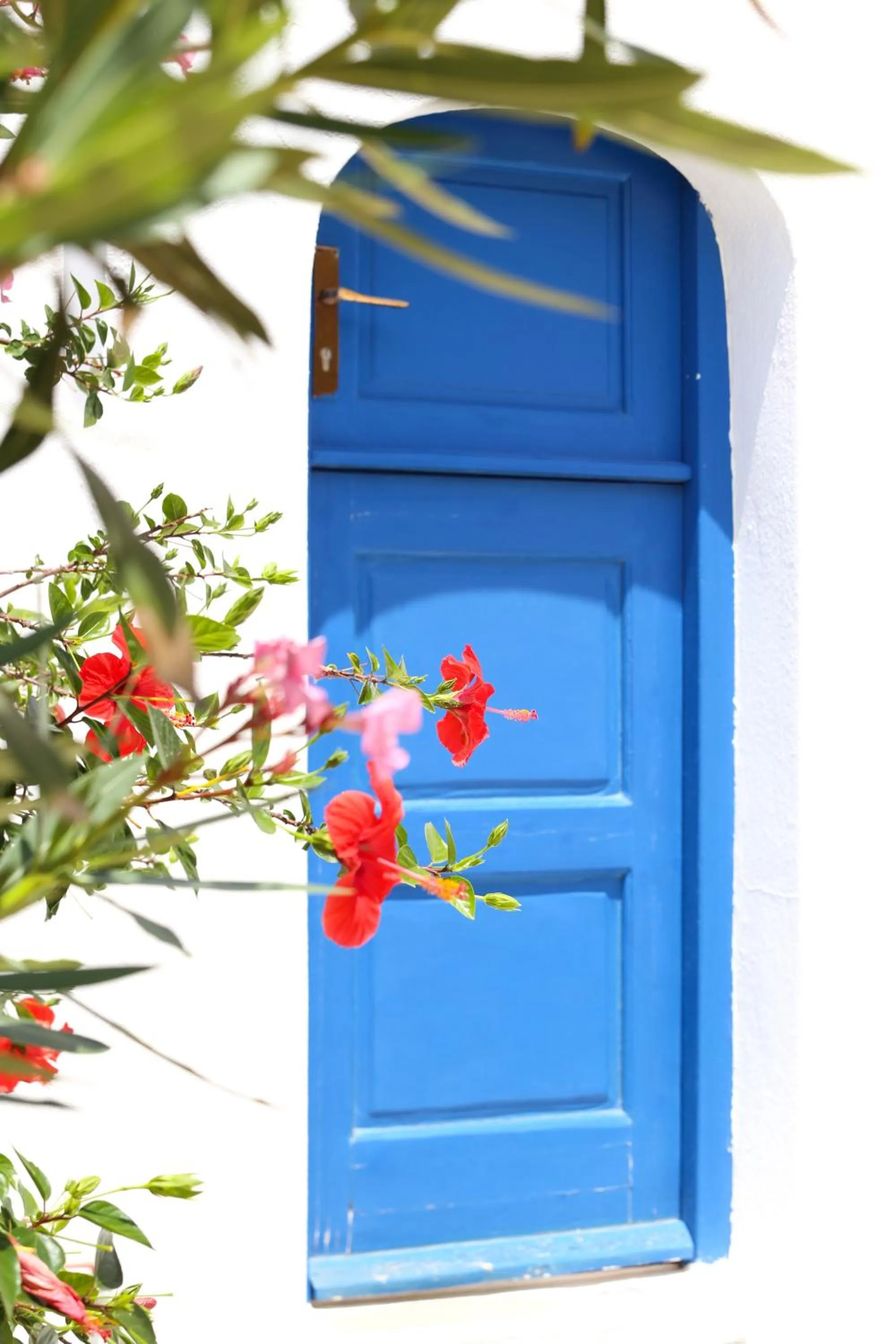 Summer in Baba Houlakia