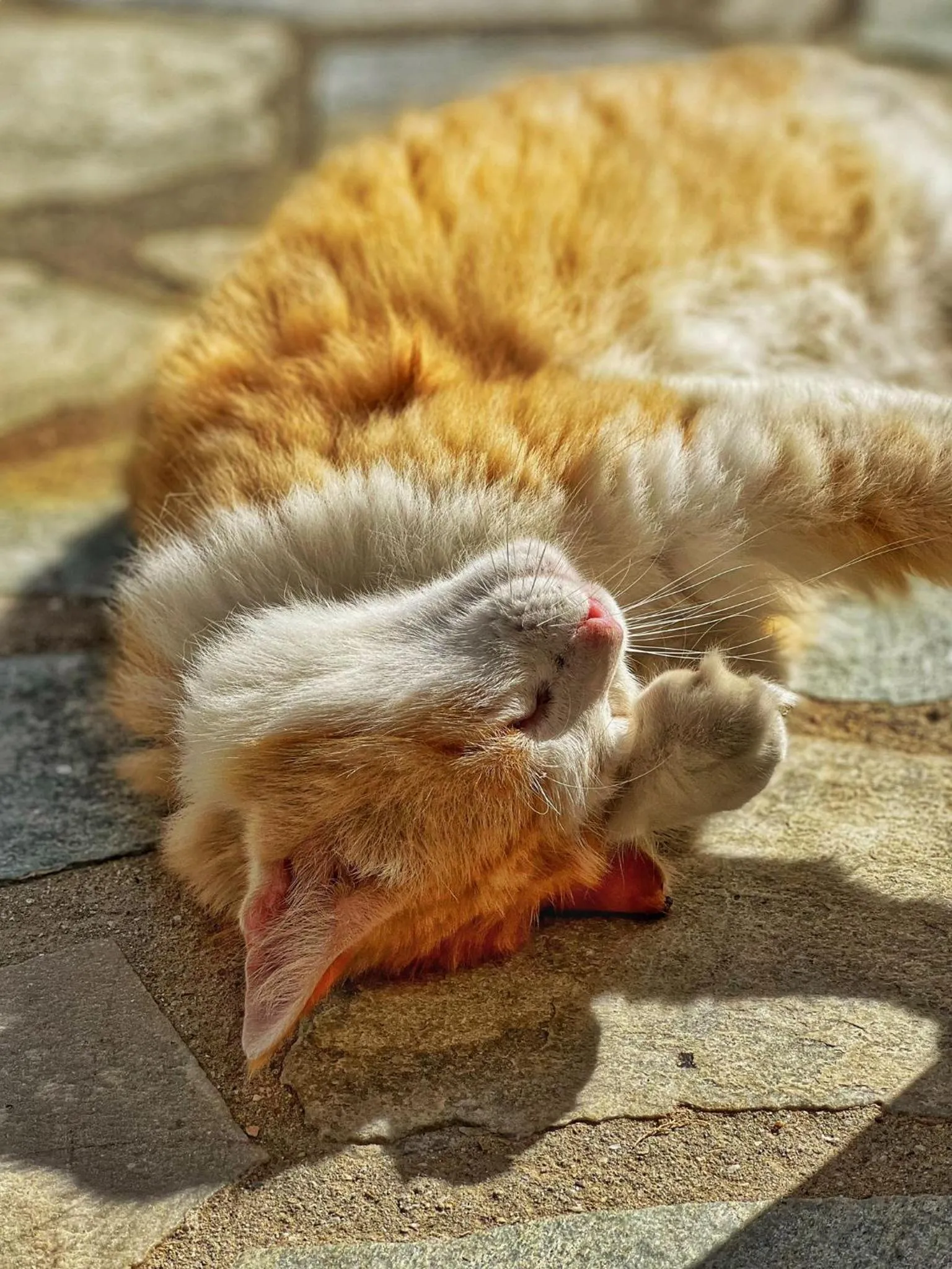 Property building in Baba Houlakia