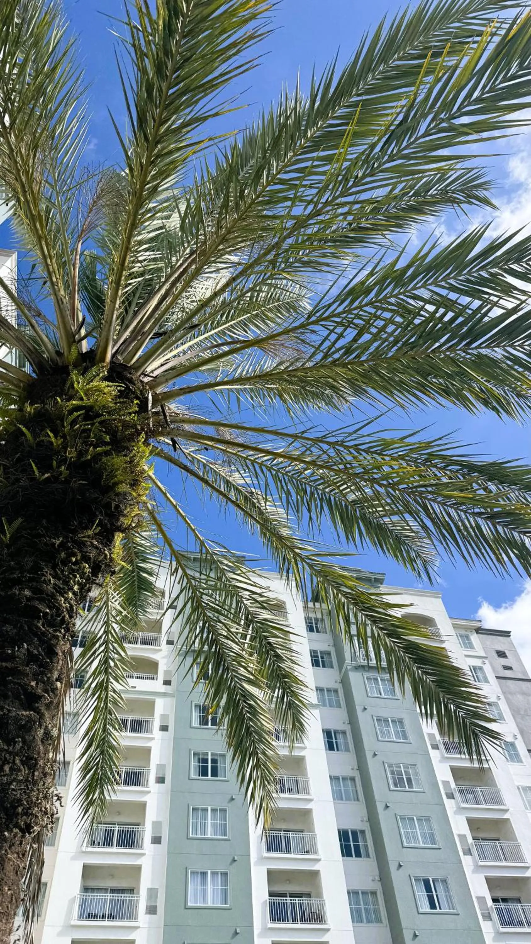 Property building in The Point Hotel & Suites Universal