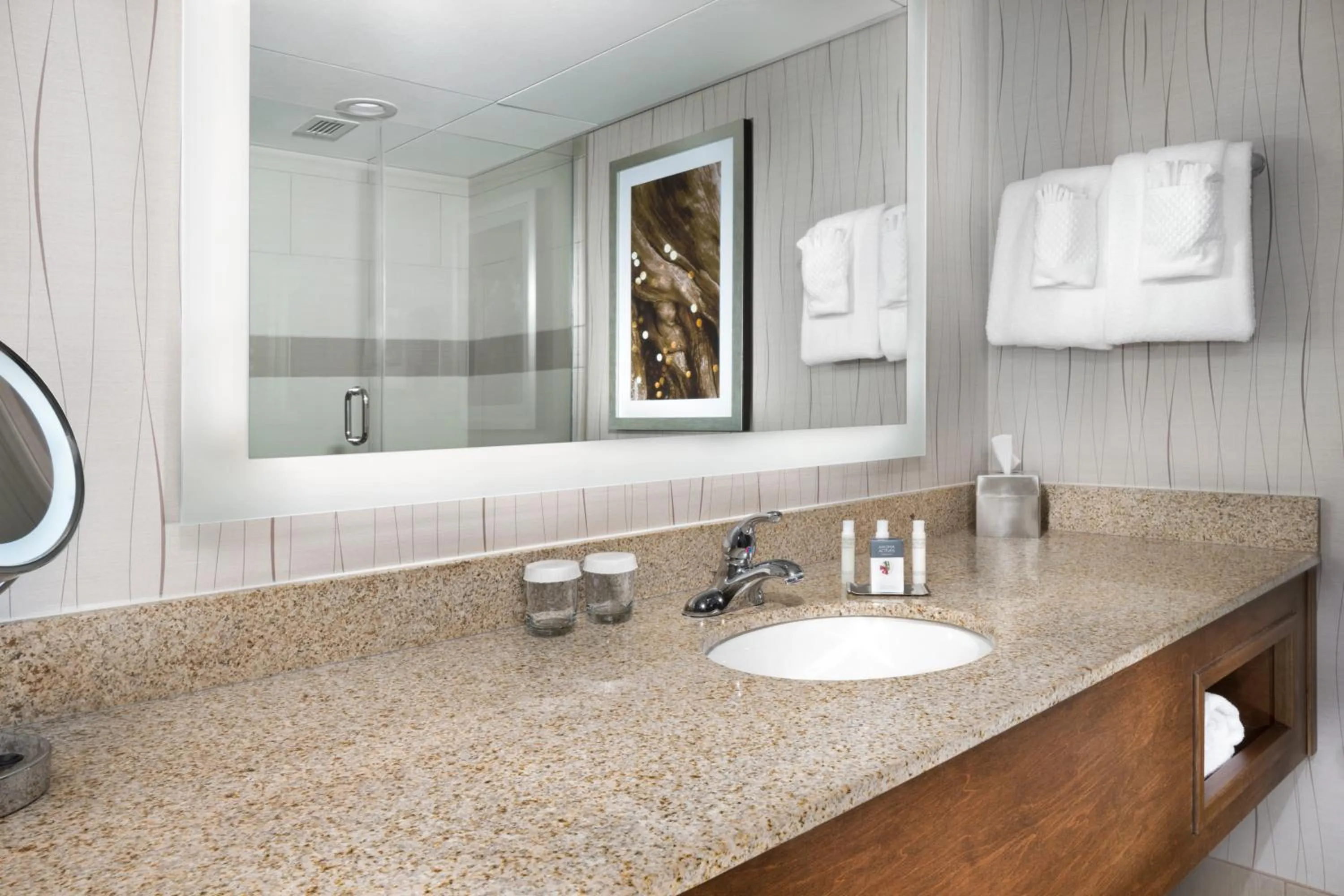 Bathroom in Crowne Plaza Resort Asheville by IHG