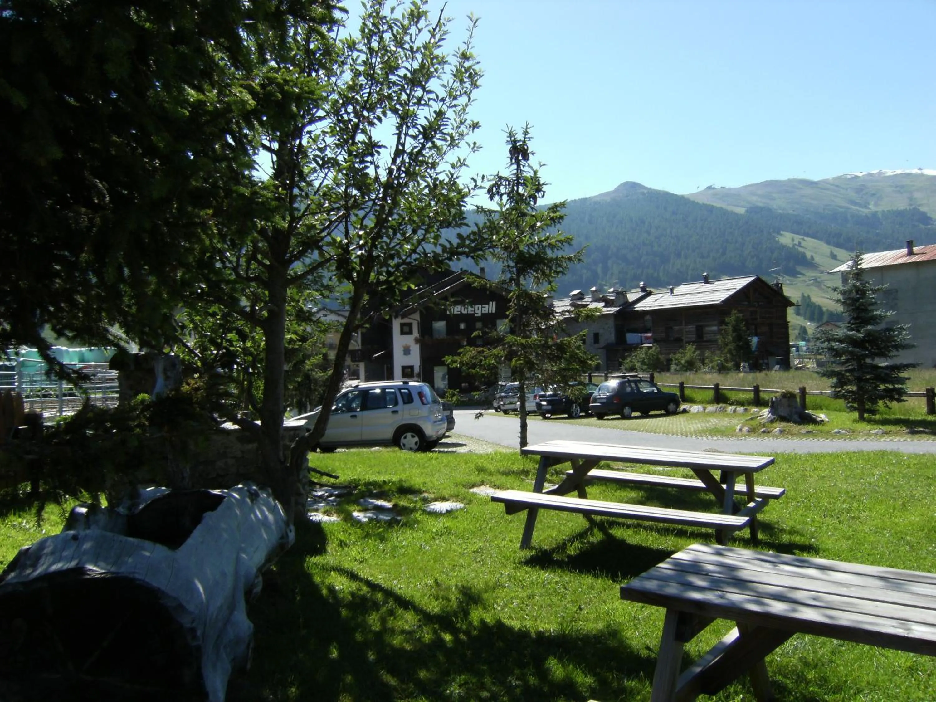 Spring in Residence Nevegall