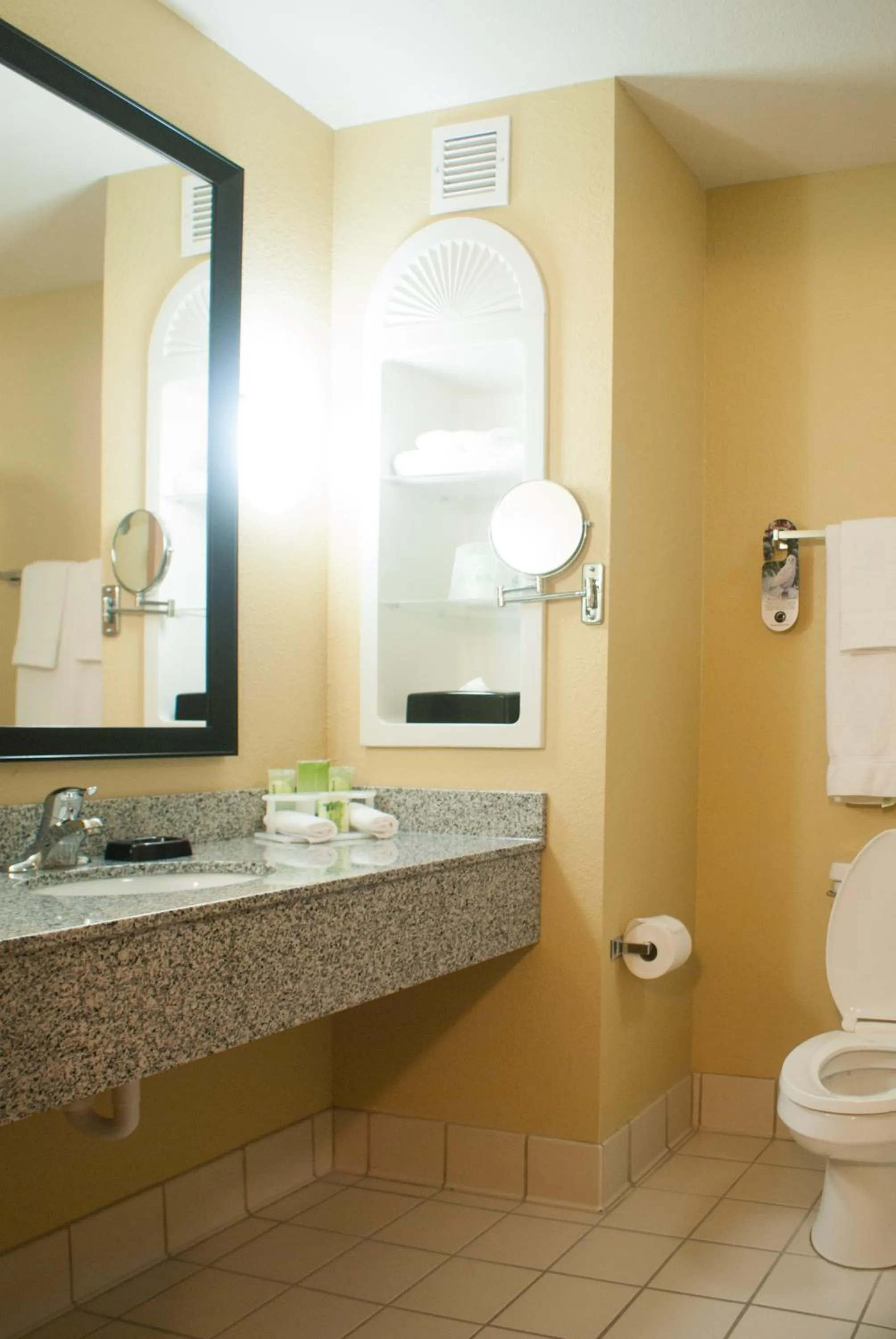 Bathroom in Holiday Inn Express & Suites Jacksonville South - I-295 by IHG