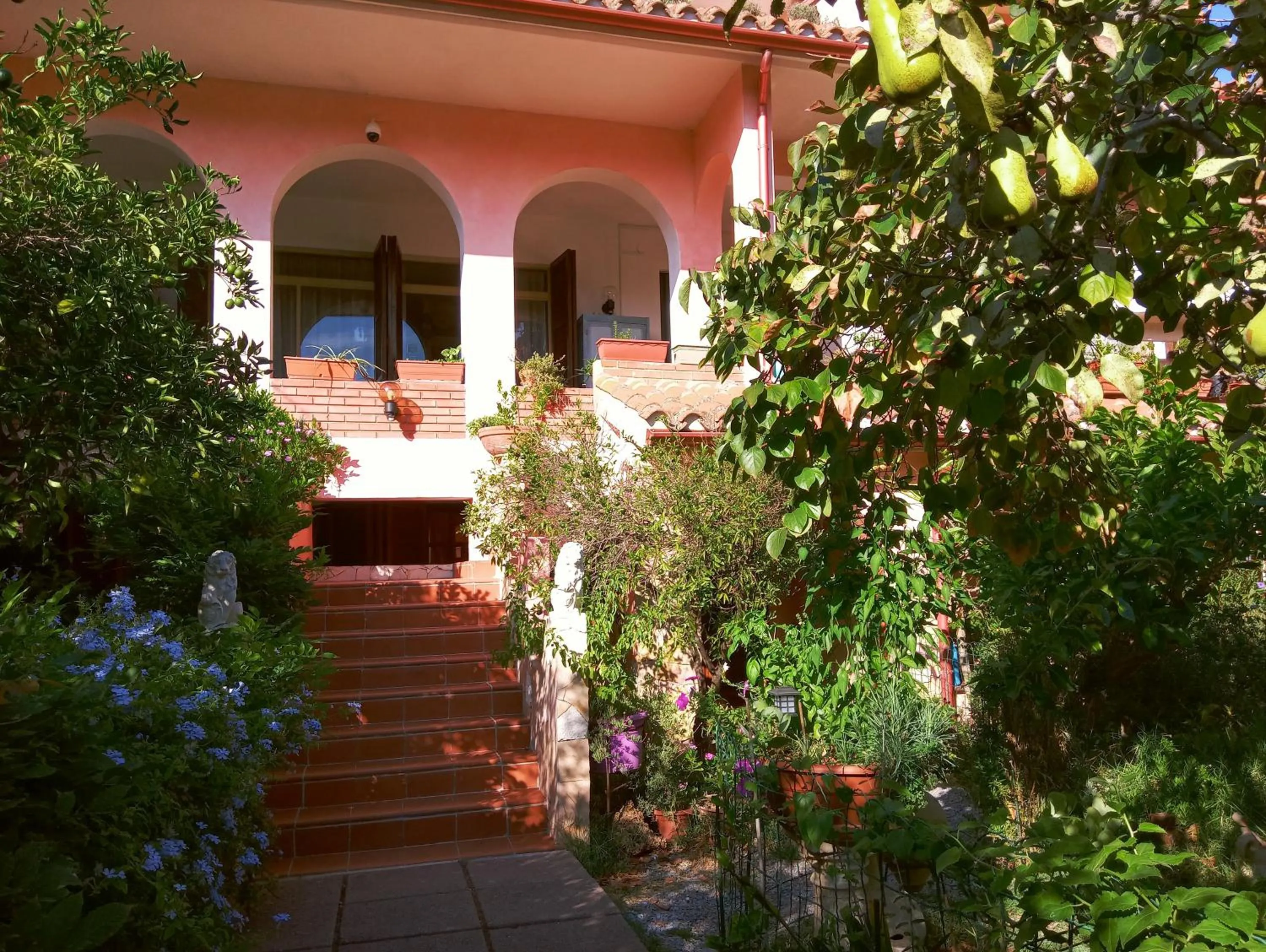 Property building in Villa Corrias