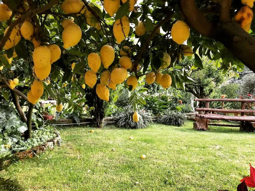 Spring in L'Angolo di Campagna