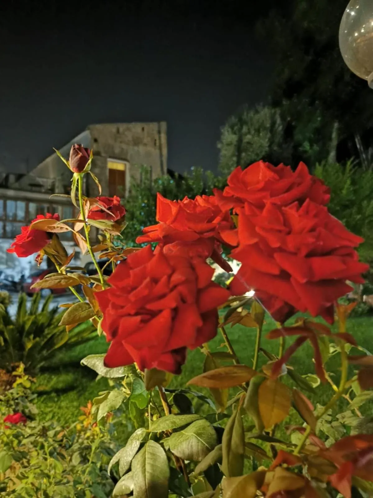 Night in L'Angolo di Campagna