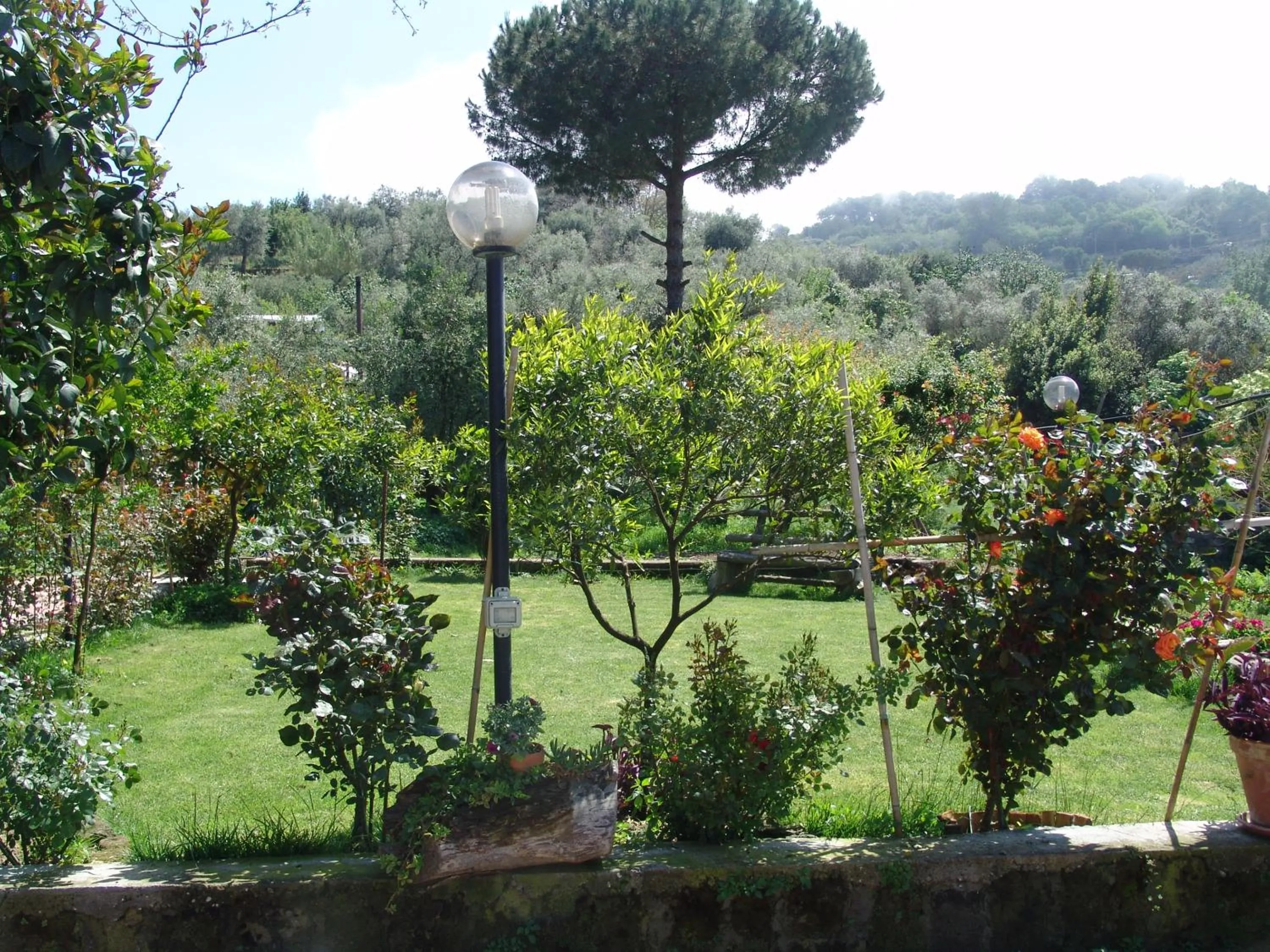 Garden view in L'Angolo di Campagna
