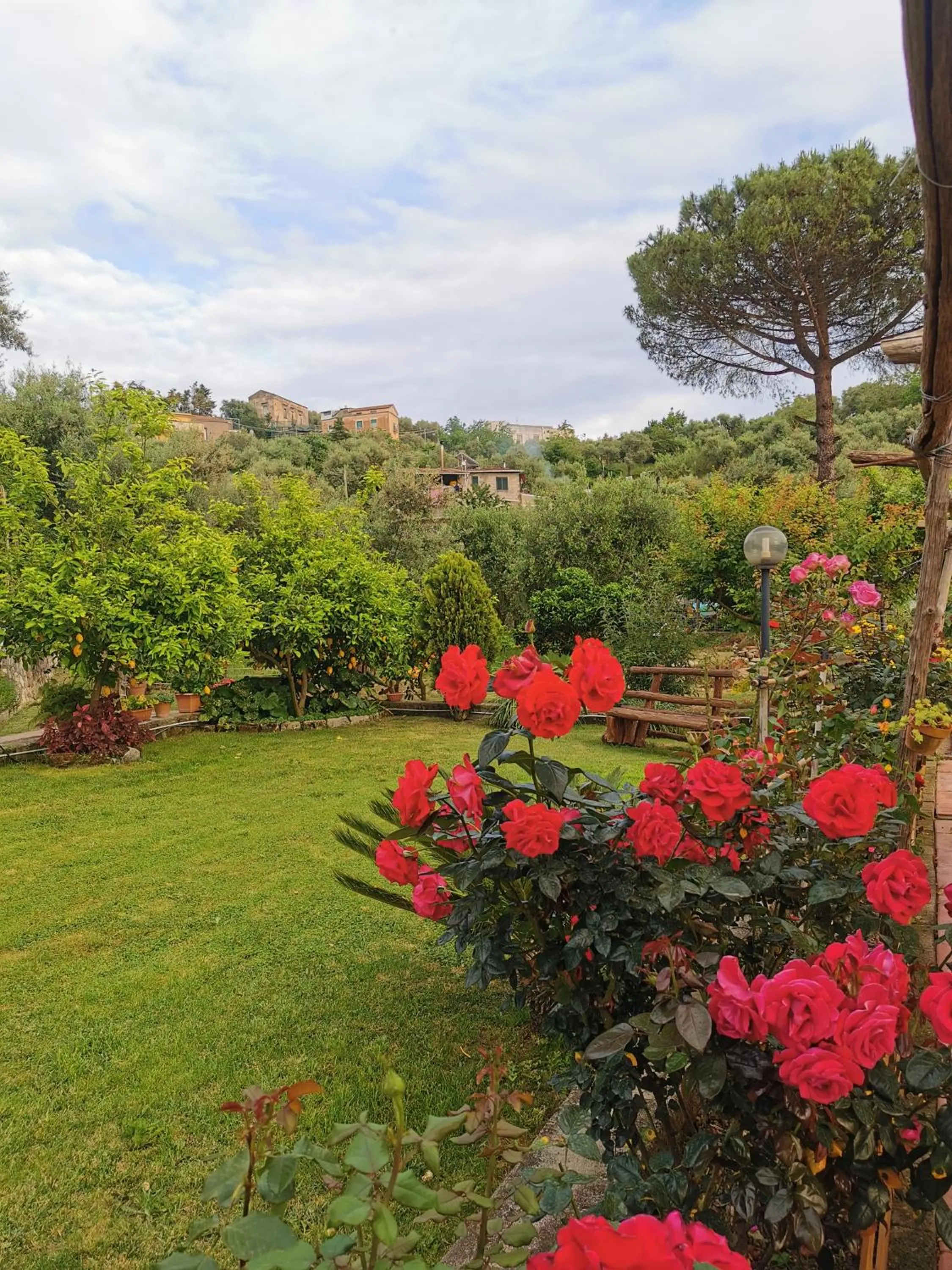 Spring in L'Angolo di Campagna
