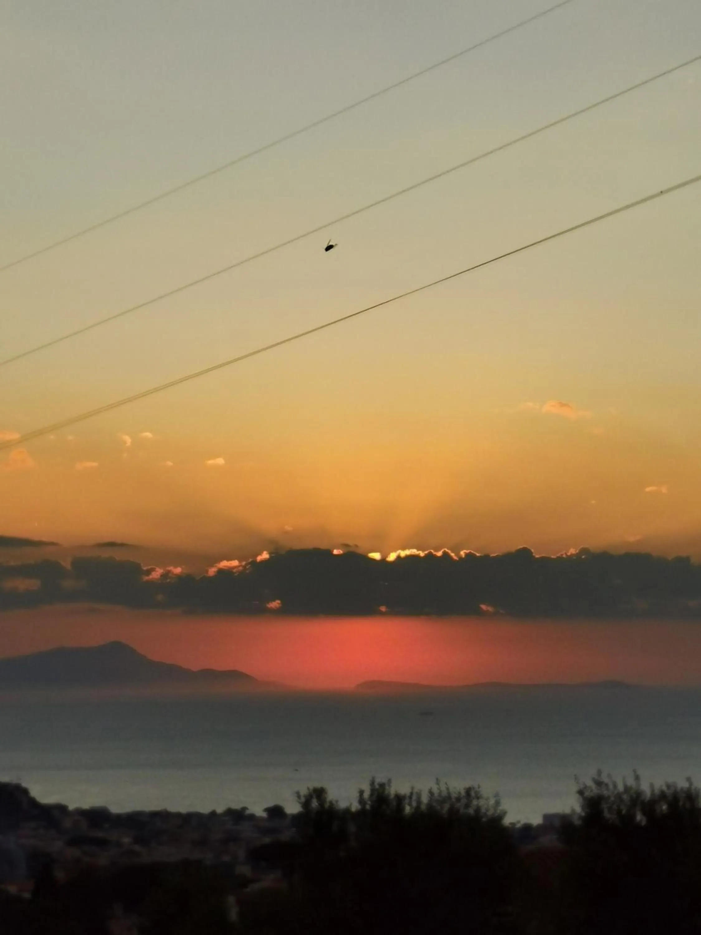 L'Angolo di Campagna