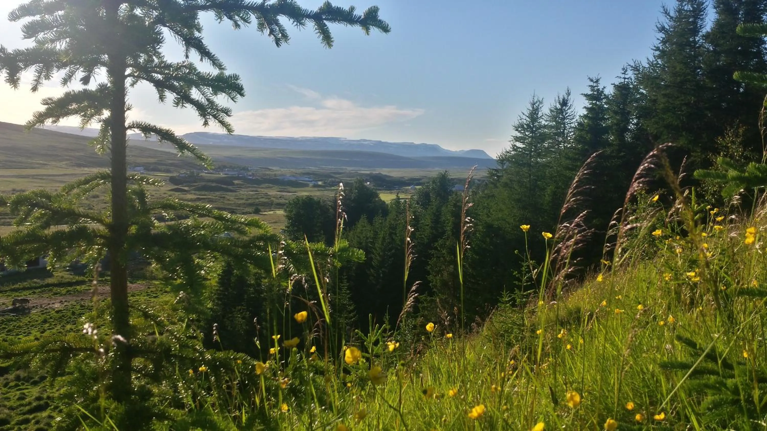 Natural landscape in Guesthouse Hvítafell