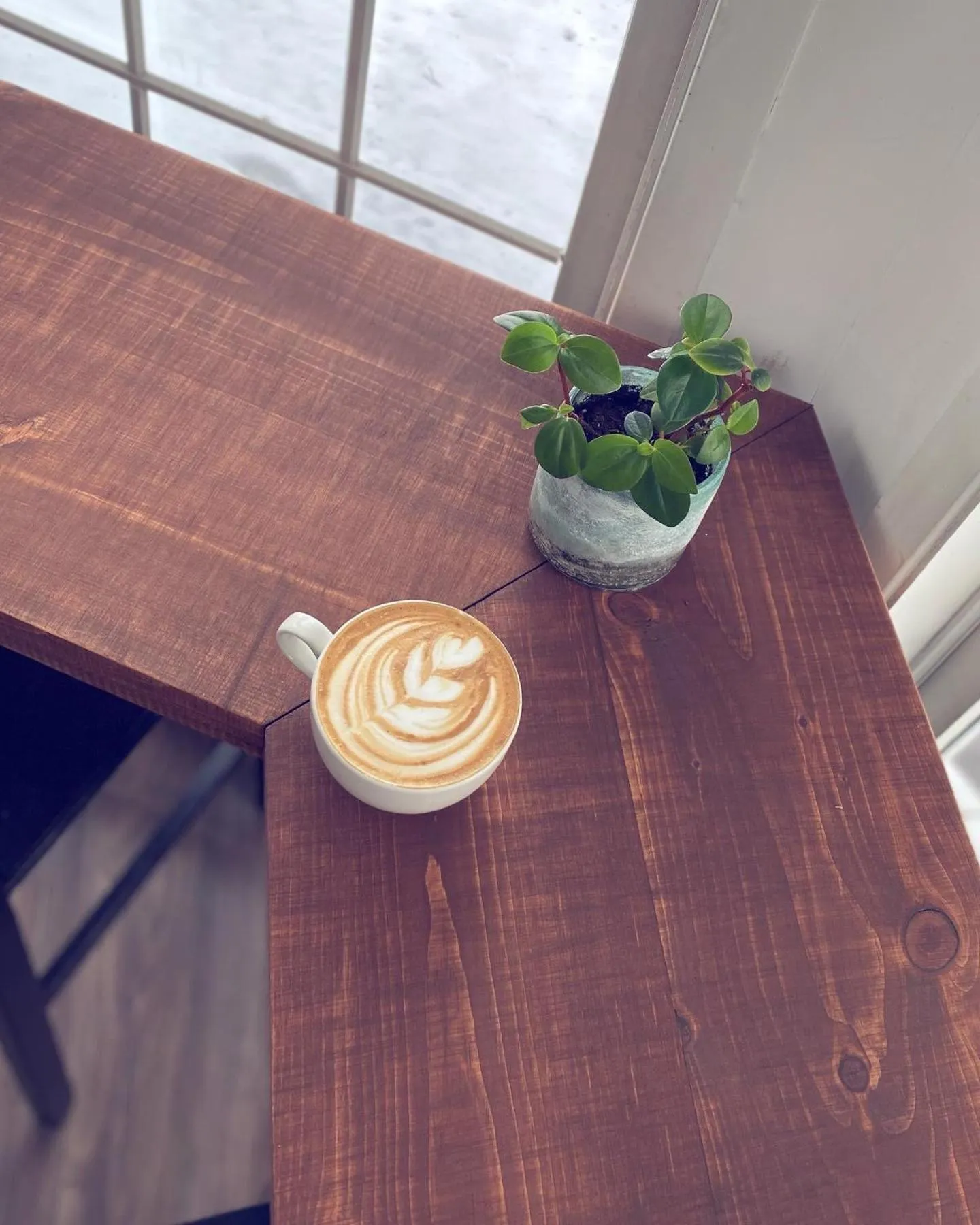 Dining area in Auberge de Jeunesse Magog-Orford Hostel