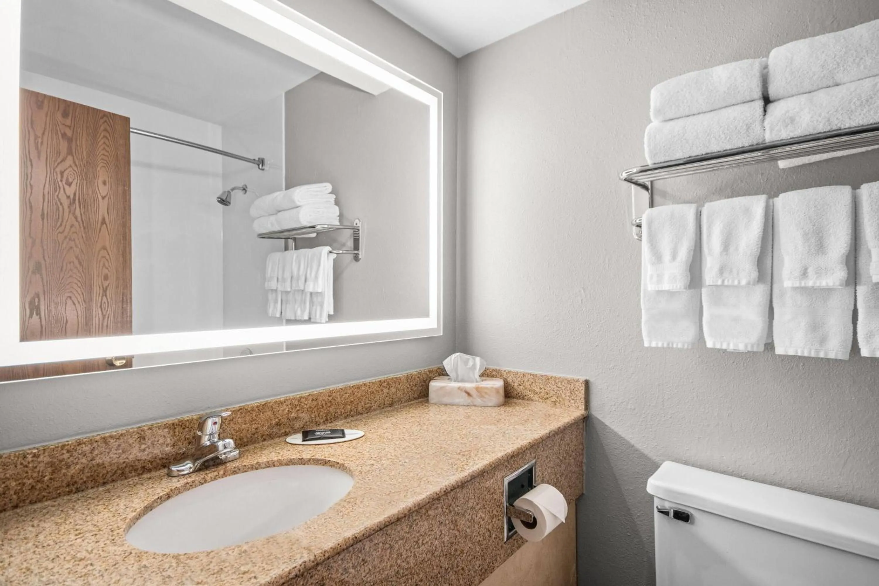 Bathroom in AmericInn by Wyndham Beloit