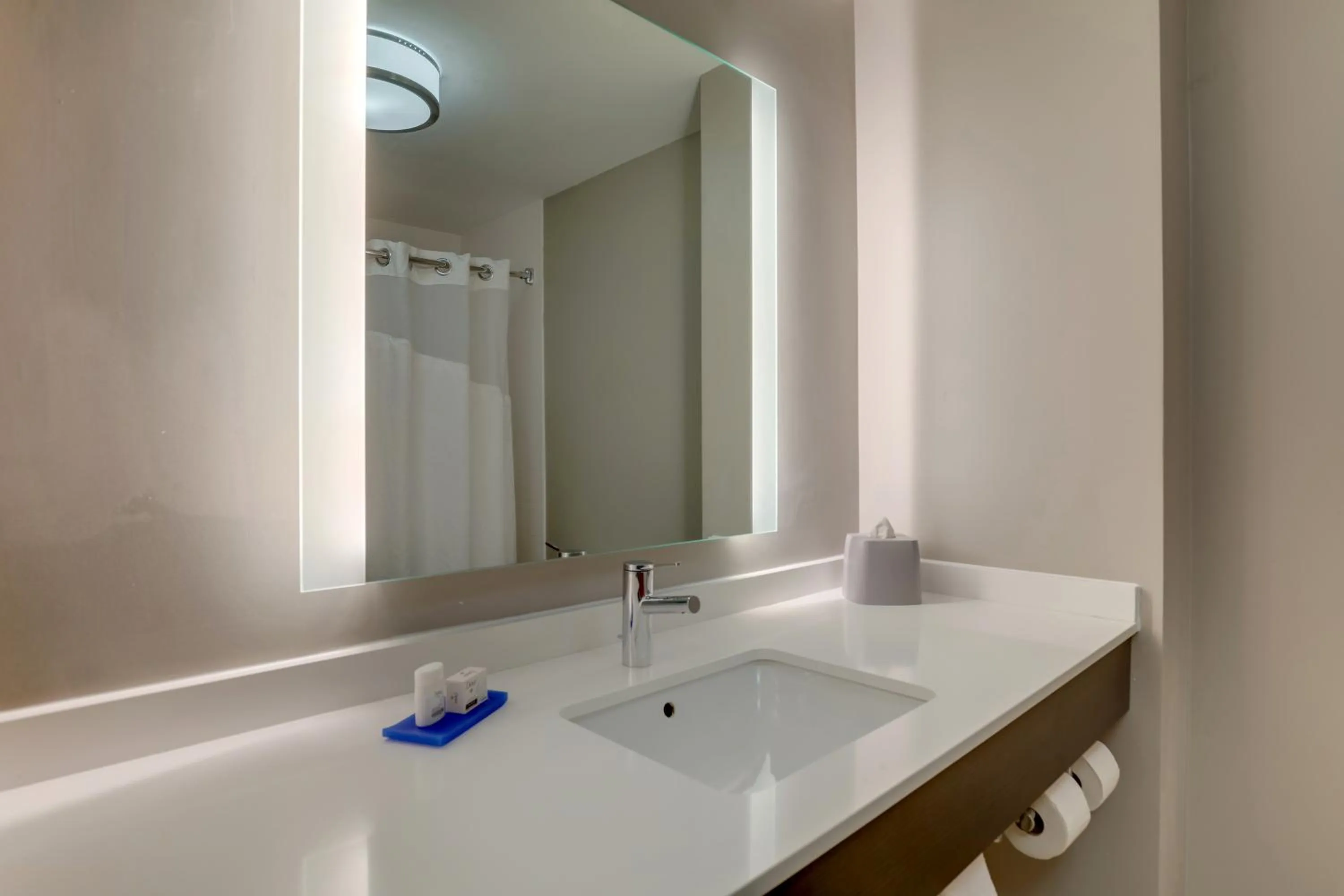 Bathroom in Holiday Inn Express Hotel & Suites Bryan-Montpelier by IHG