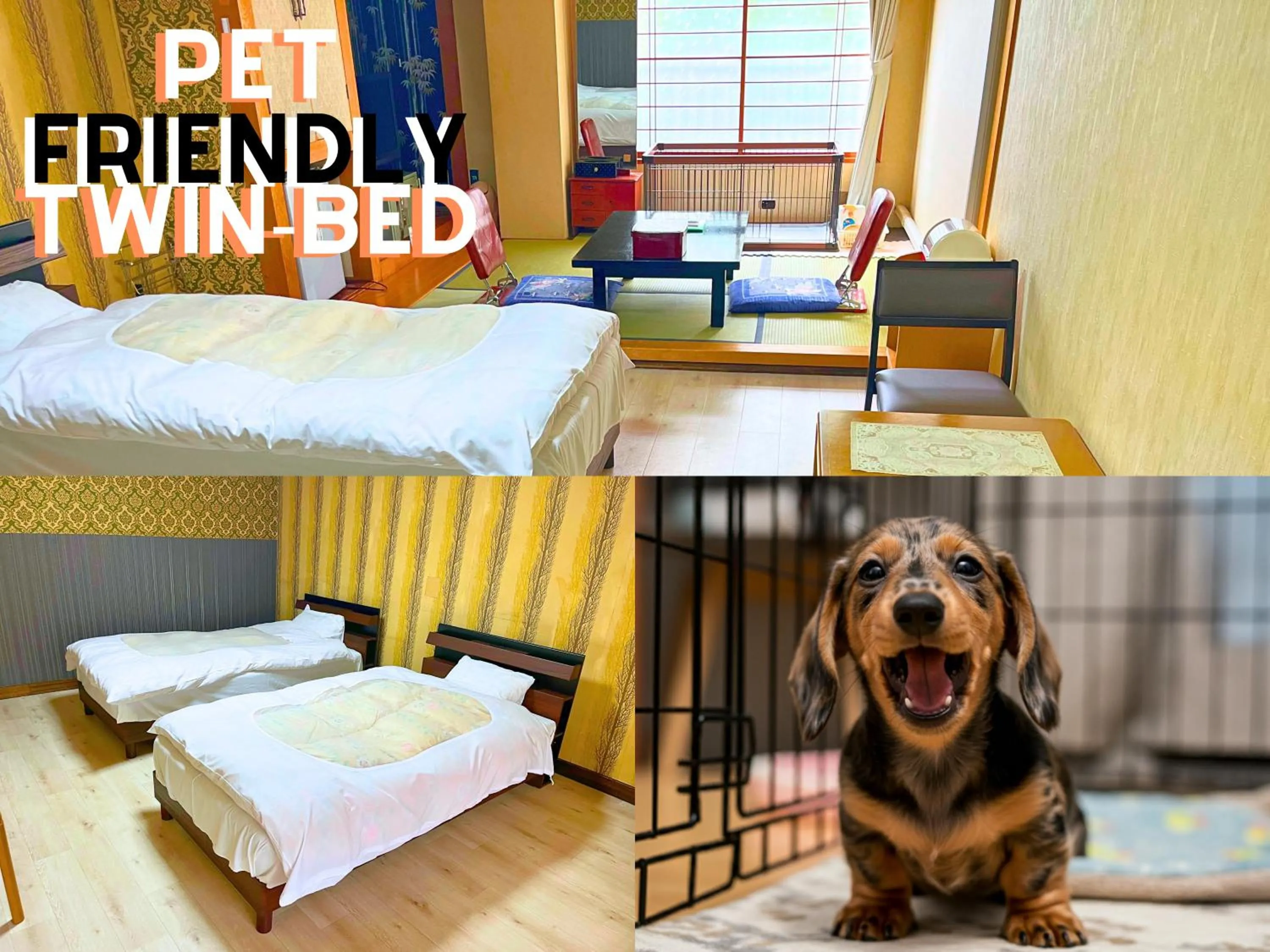 Pets, Bed in Takasago Onsen