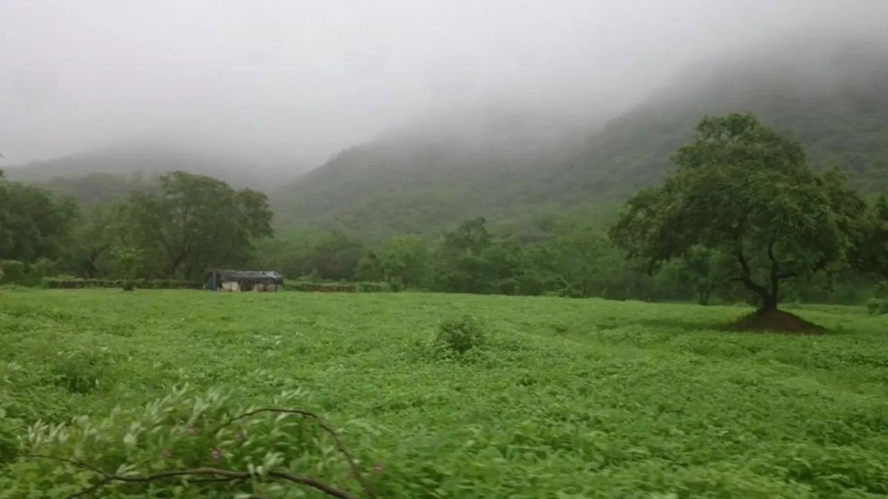 Autumn in Jawharet Al Kheir Furnished Apartments