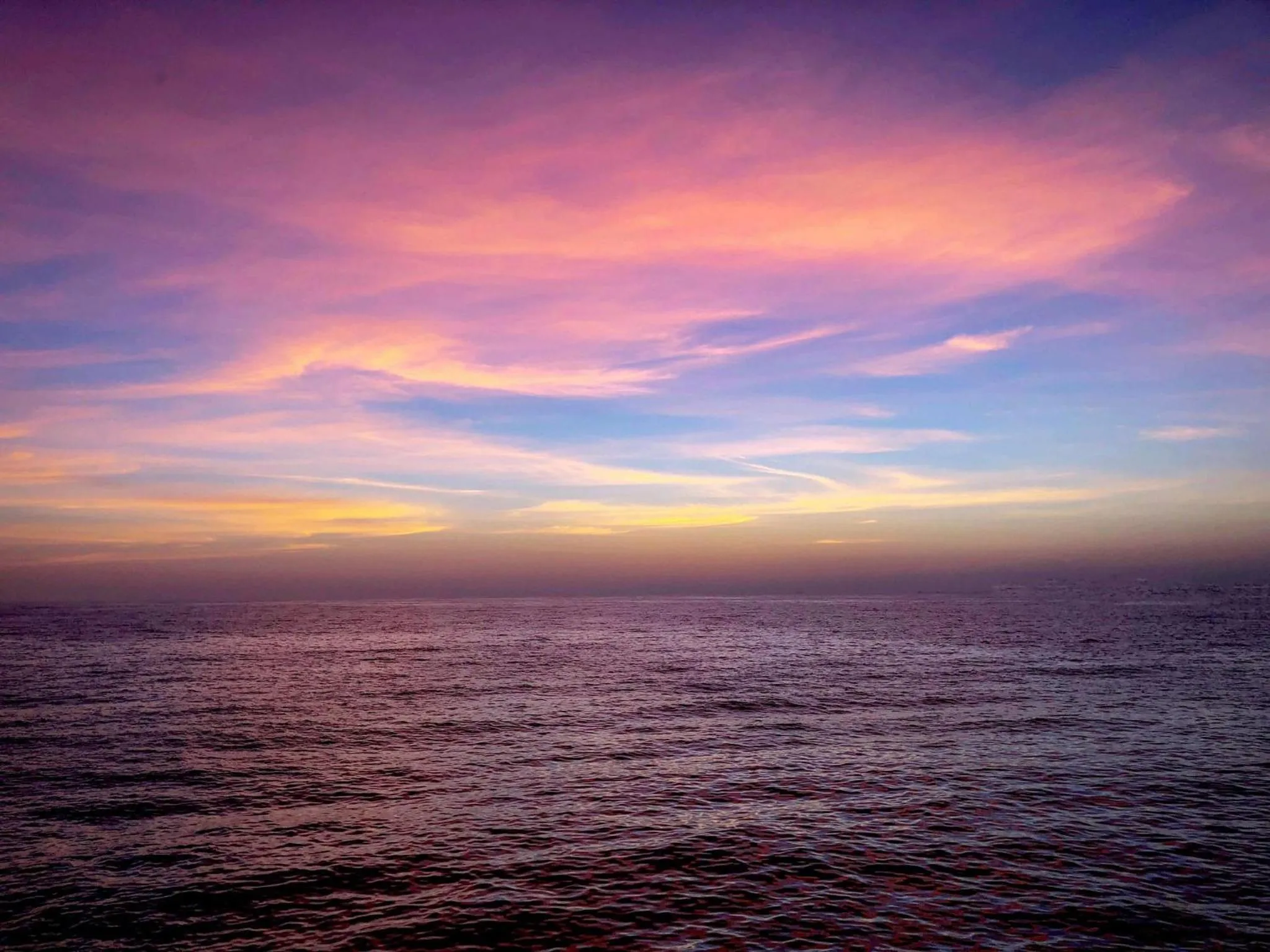 Area and facilities in Holiday Inn Santa Ana-Orange County Airport by IHG