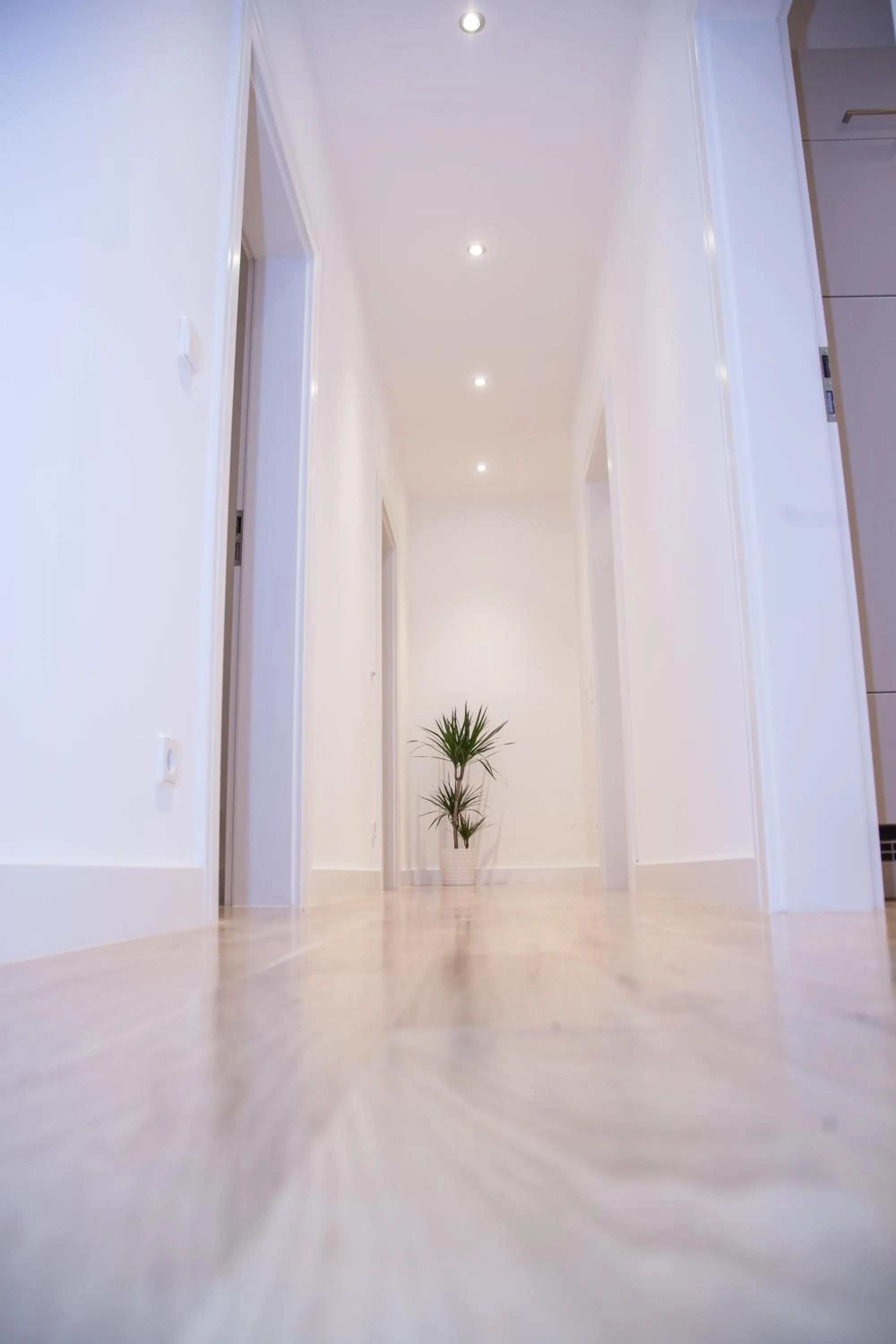 Area and facilities in Apartment Haus Heidelberg