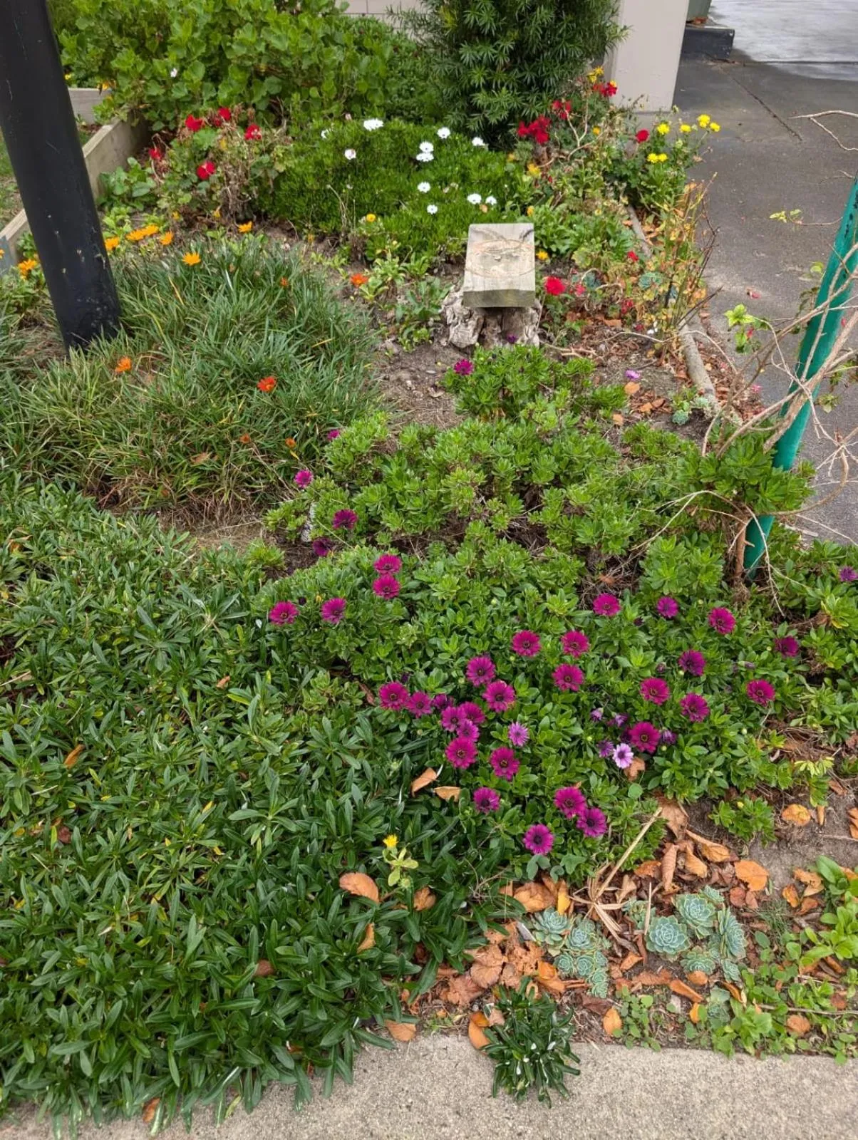 Morwell Parkside Motel